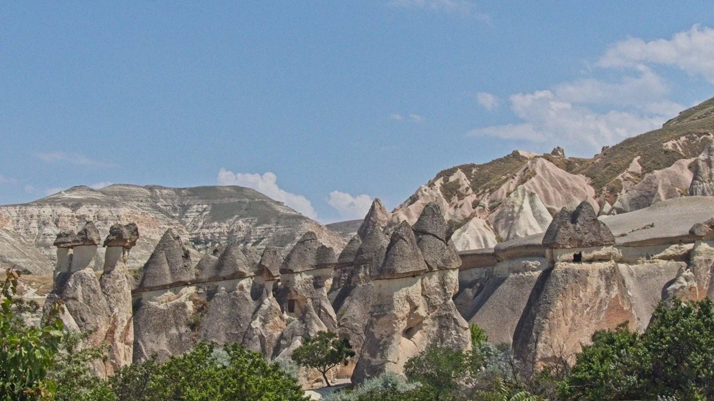 P1110464.jpg