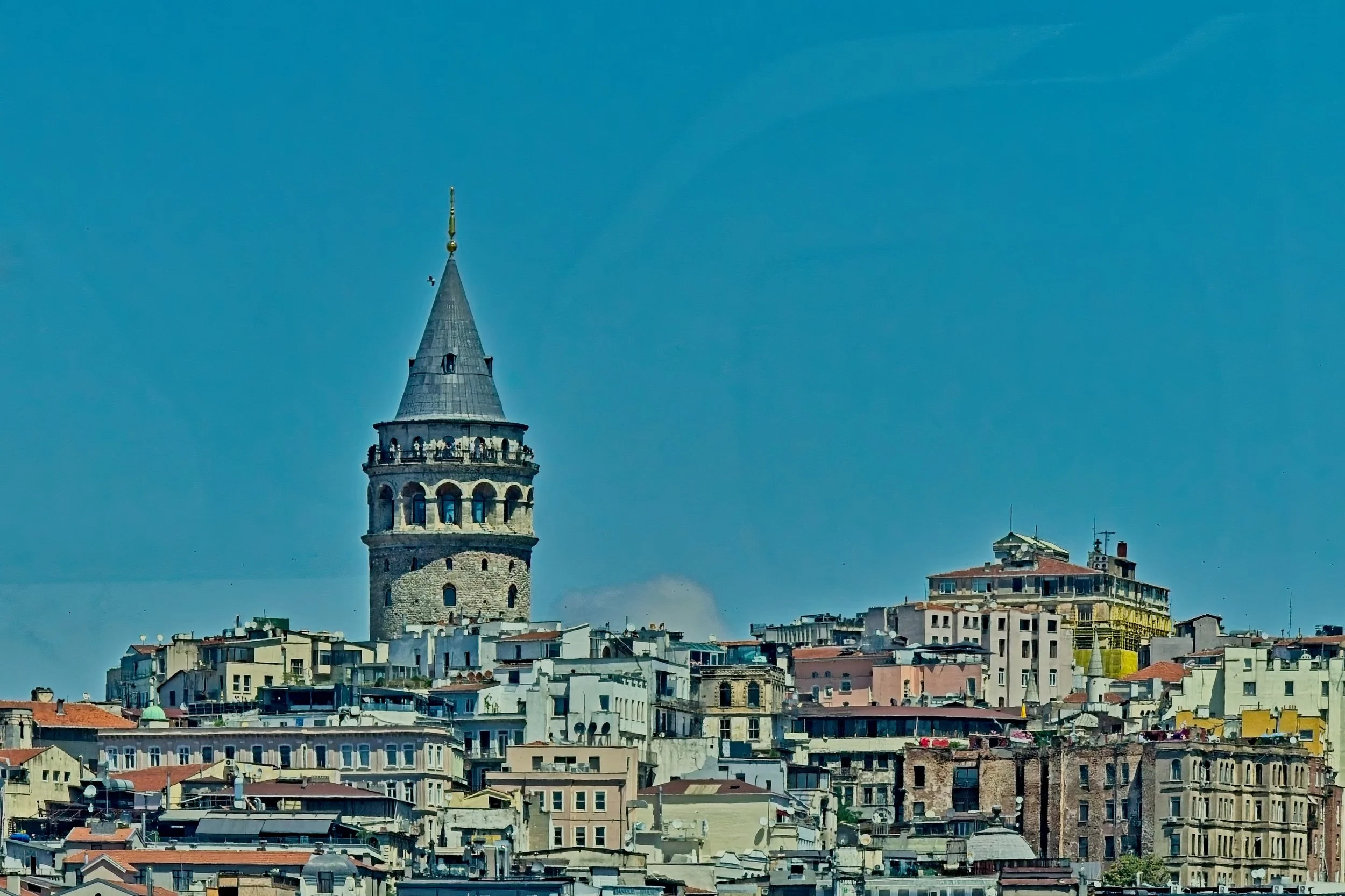 P1100558.jpg