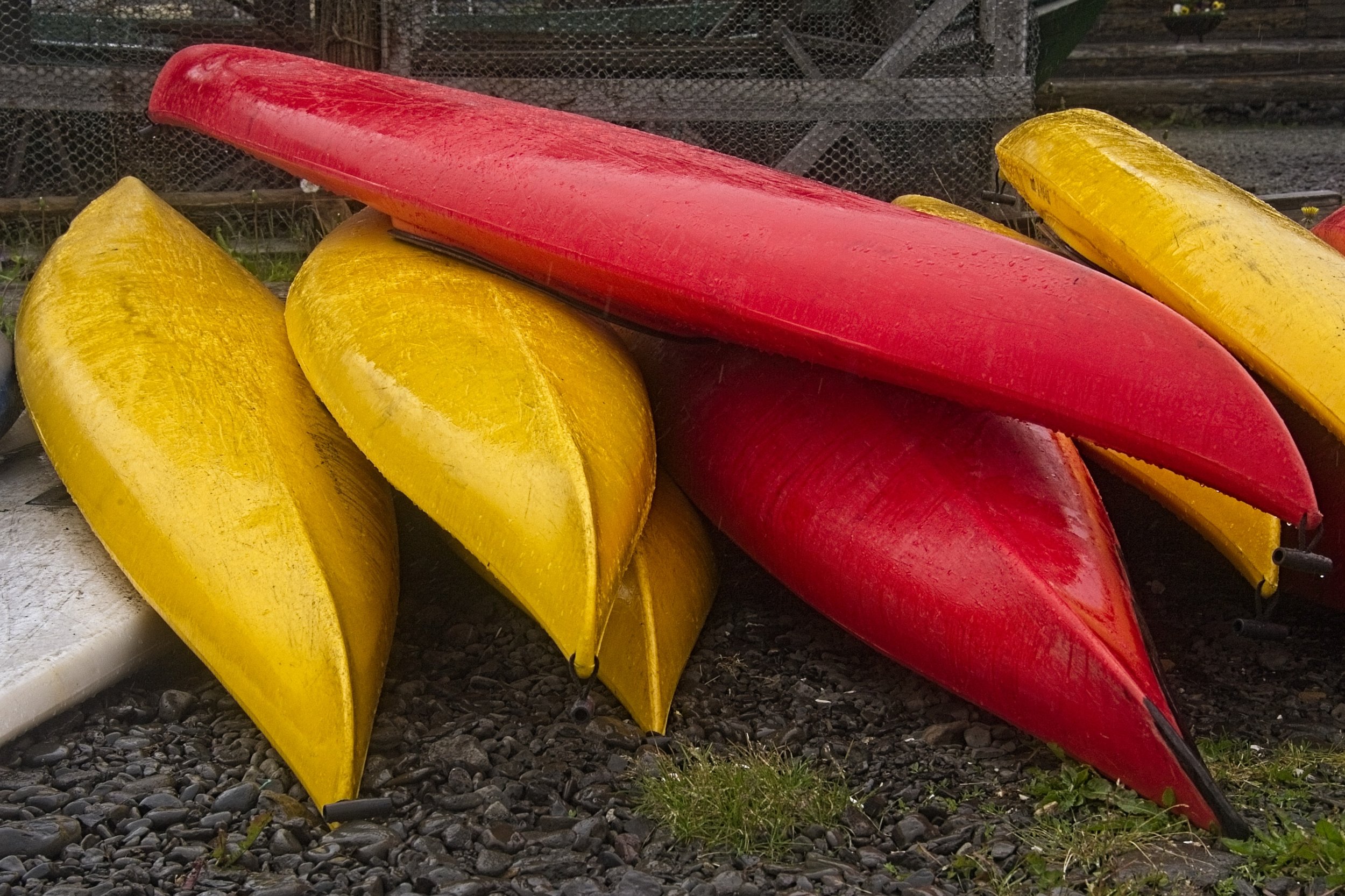 DSC_0519.jpg