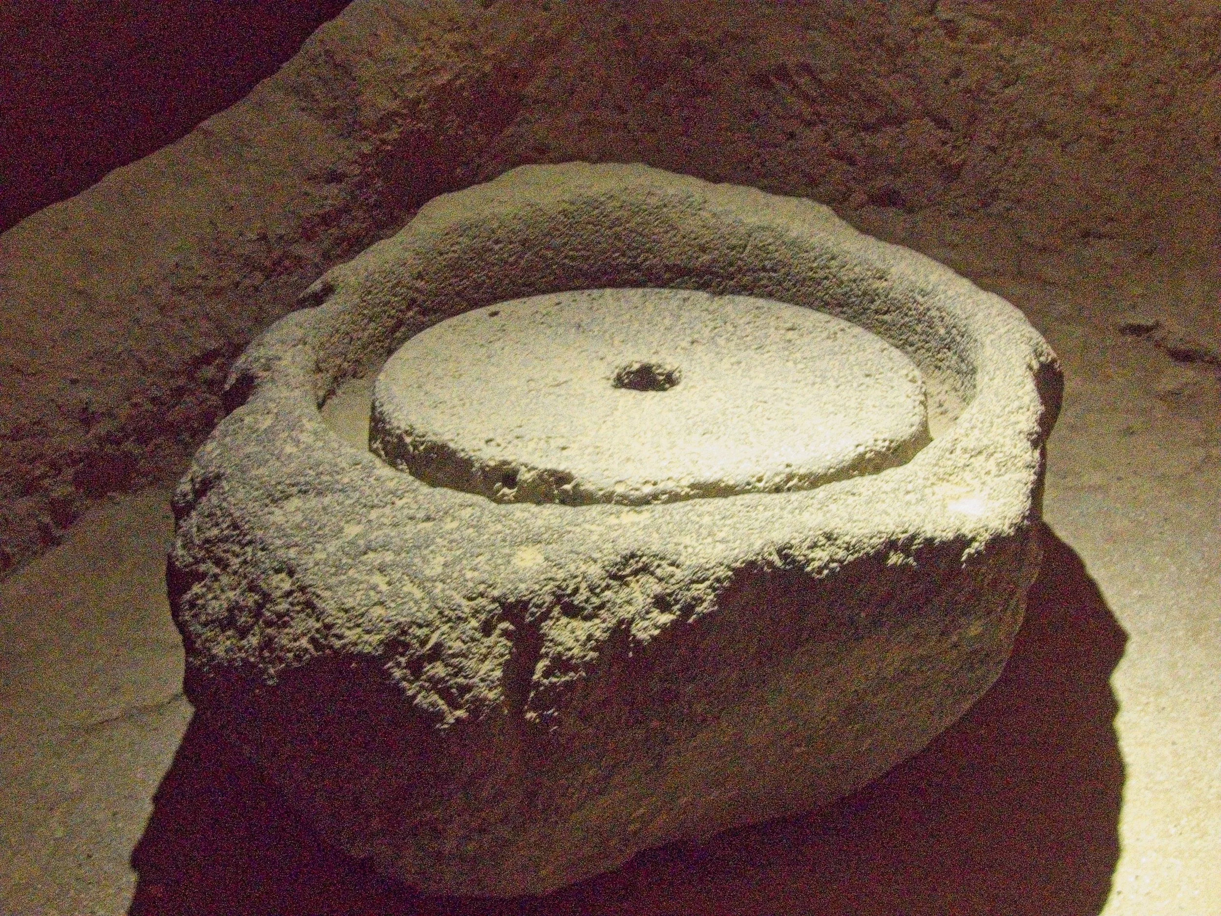 P1110267.jpg