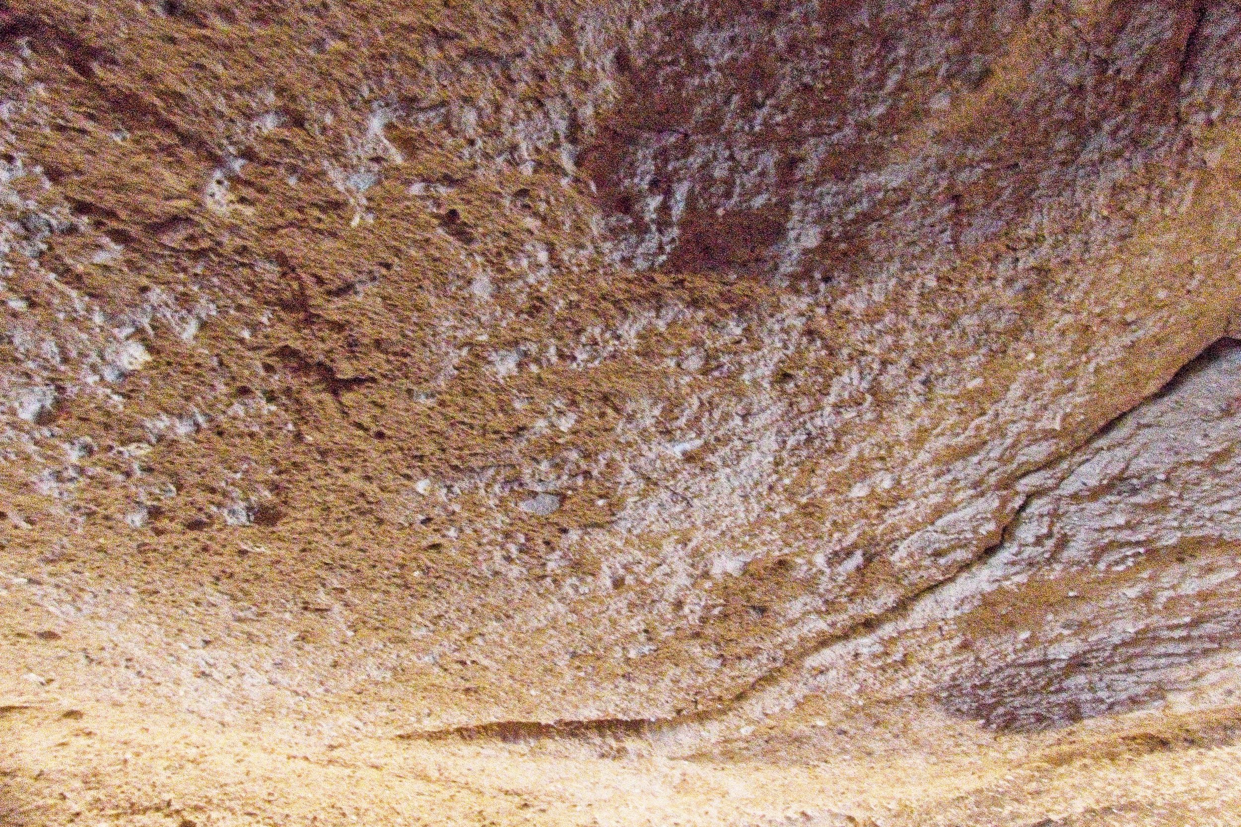 P1110266.jpg