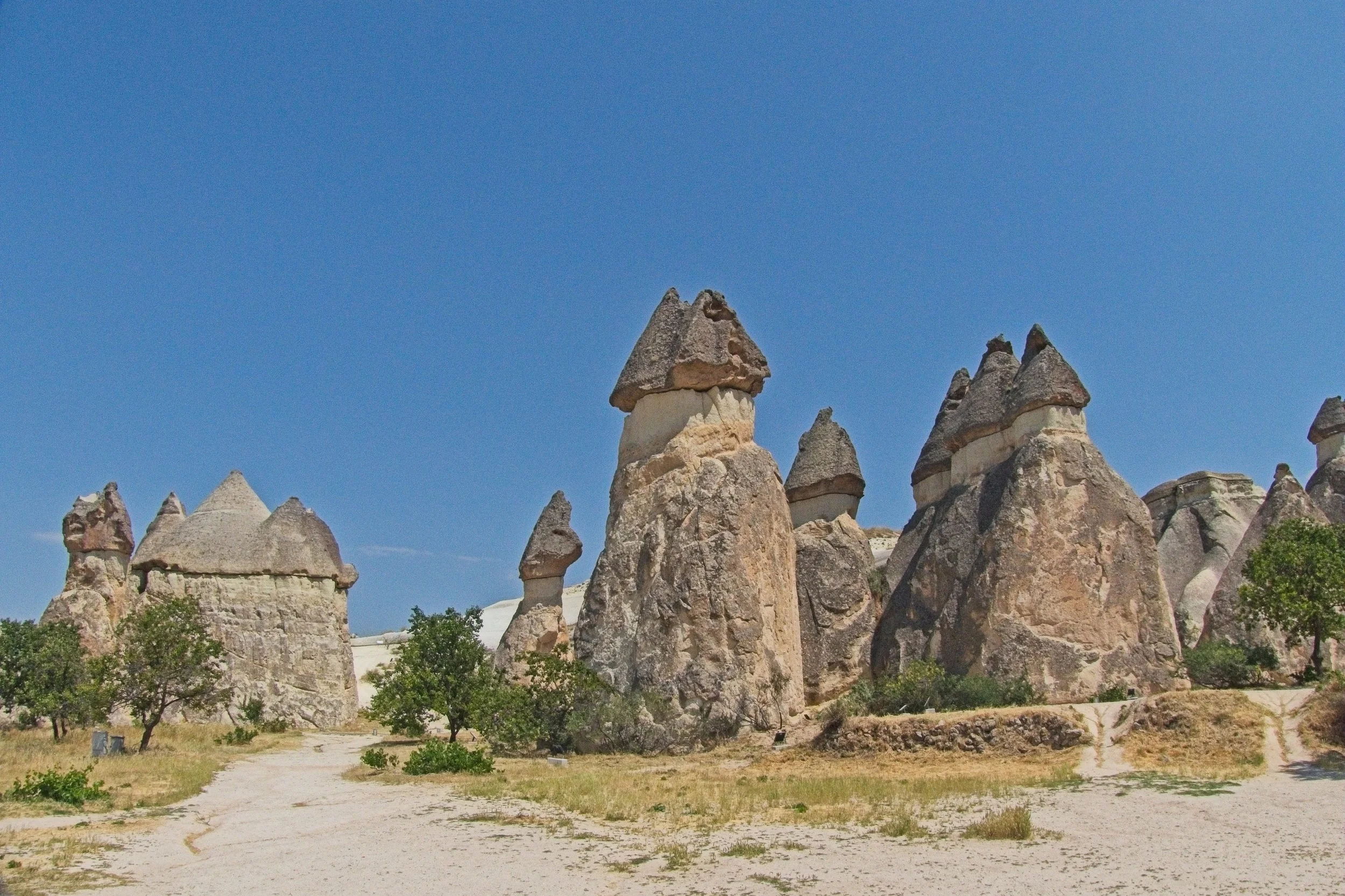 P1110473.jpg