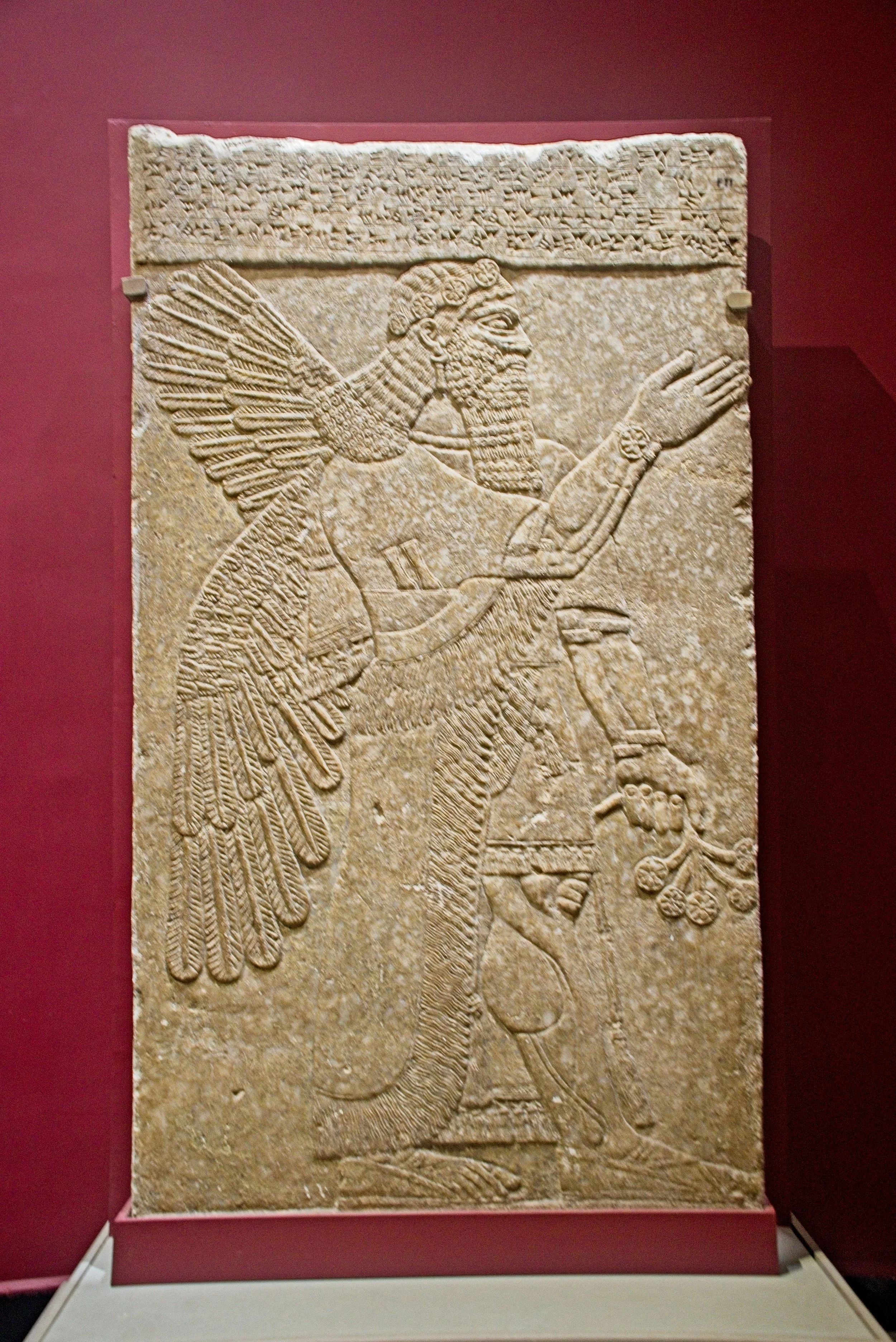 DSC_9669 1.jpg