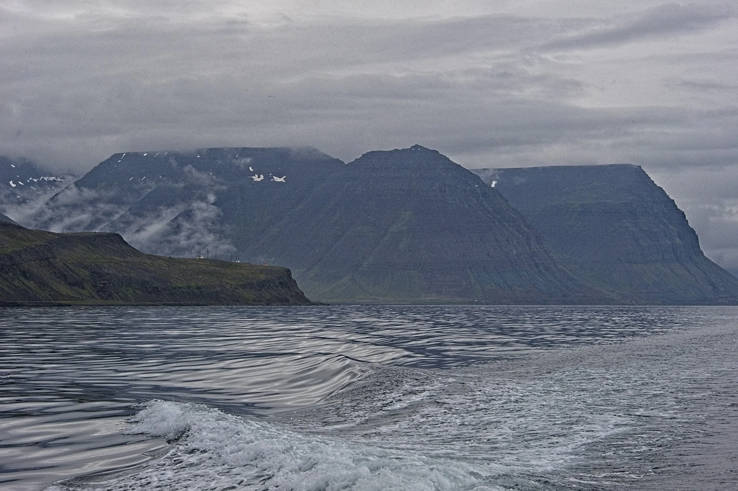 DSC_9829.jpg