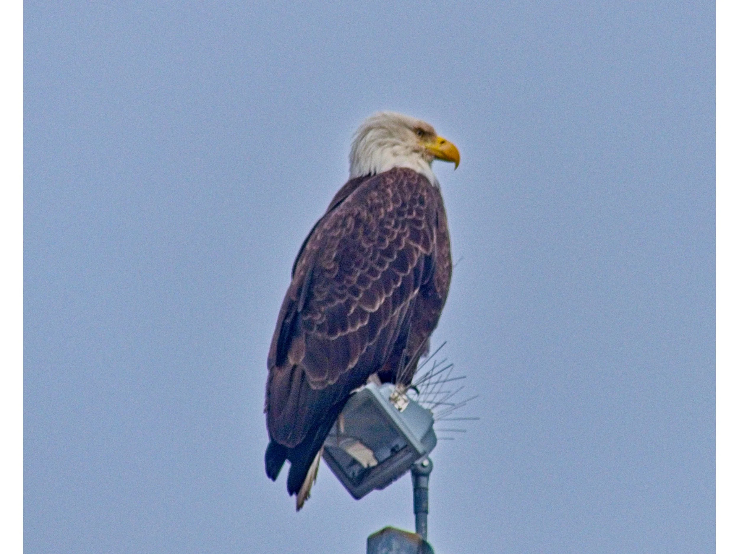 KETCHIKAN