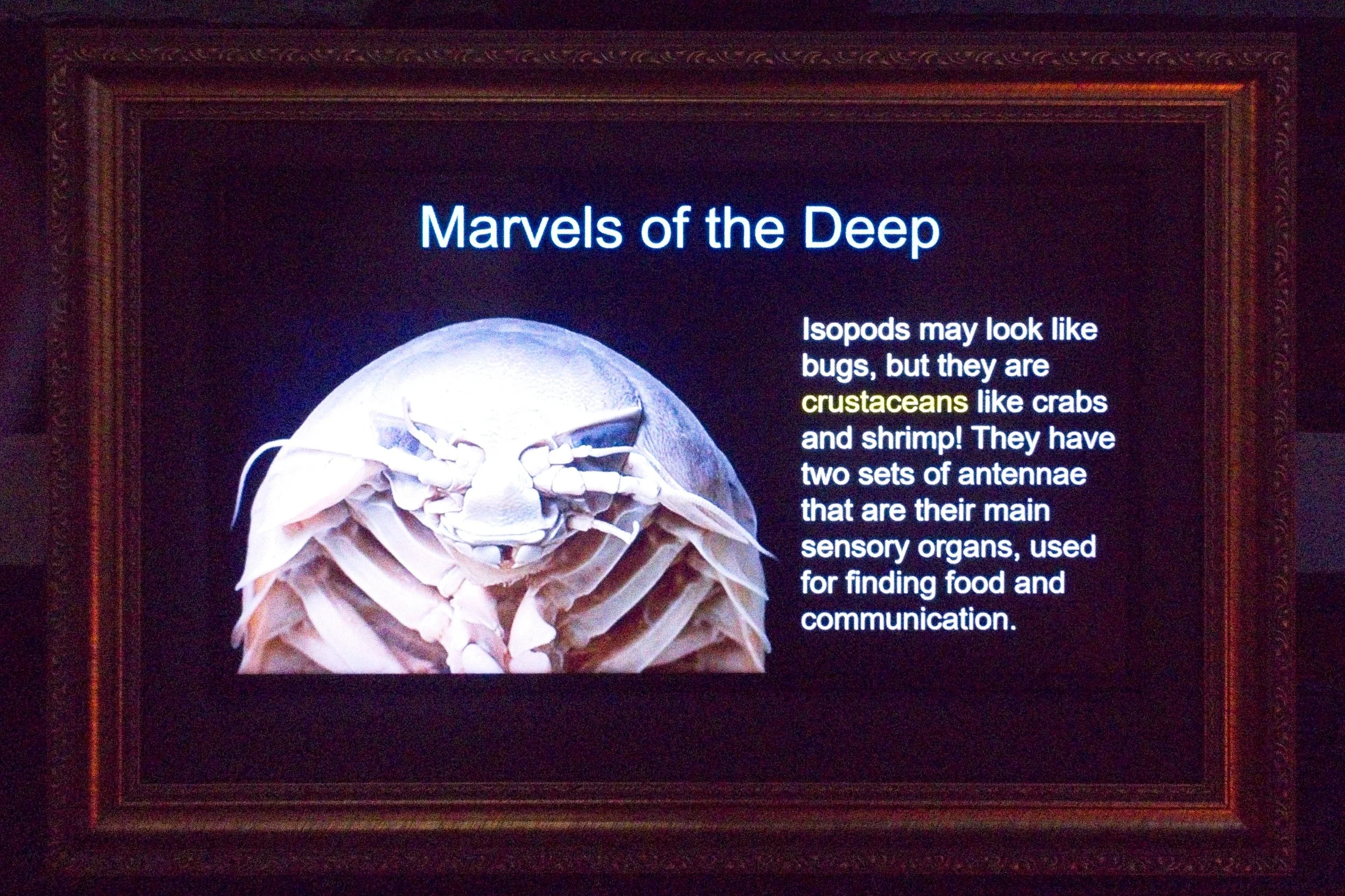 PC260499.jpg