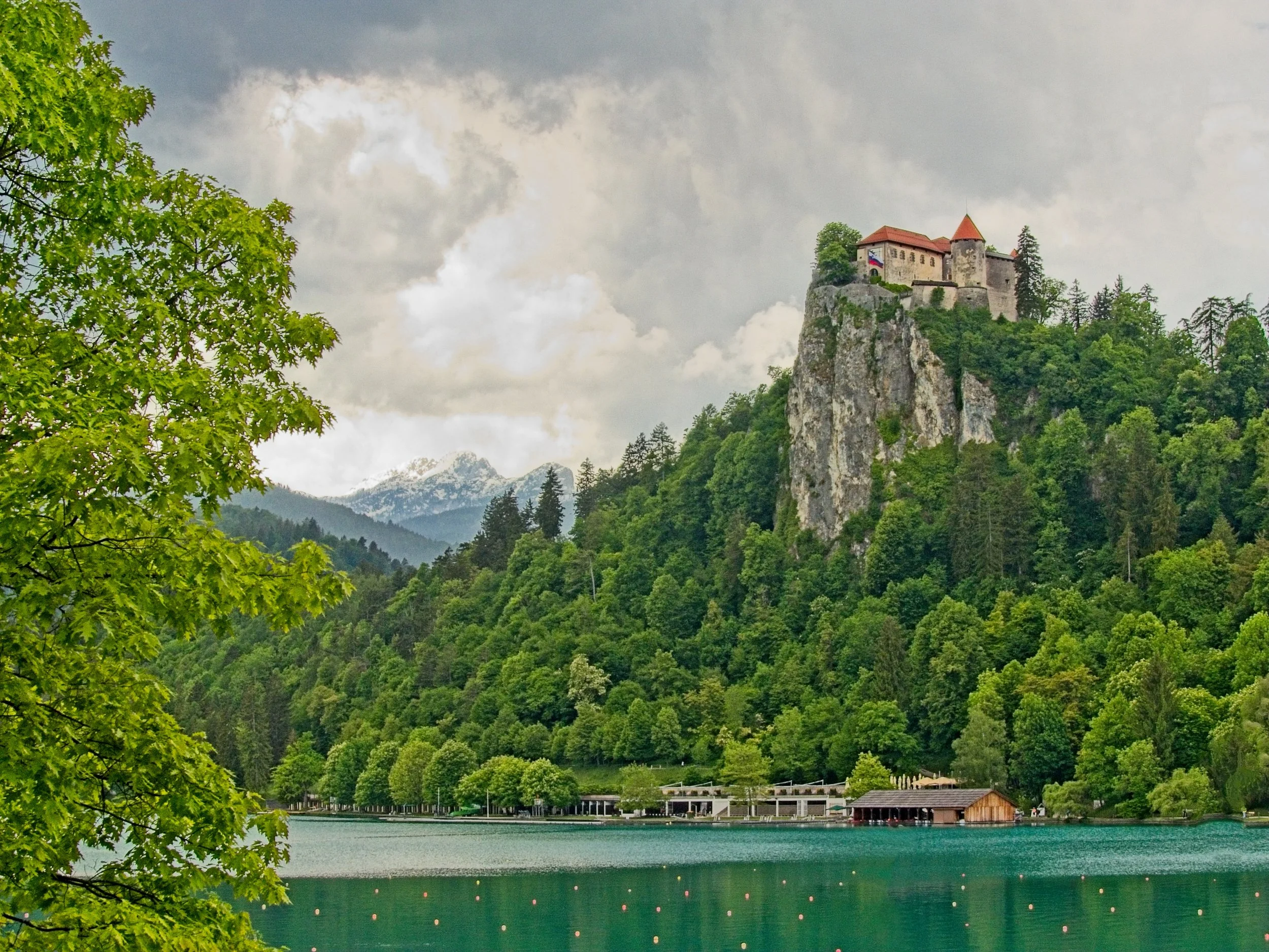 P1100354.jpg