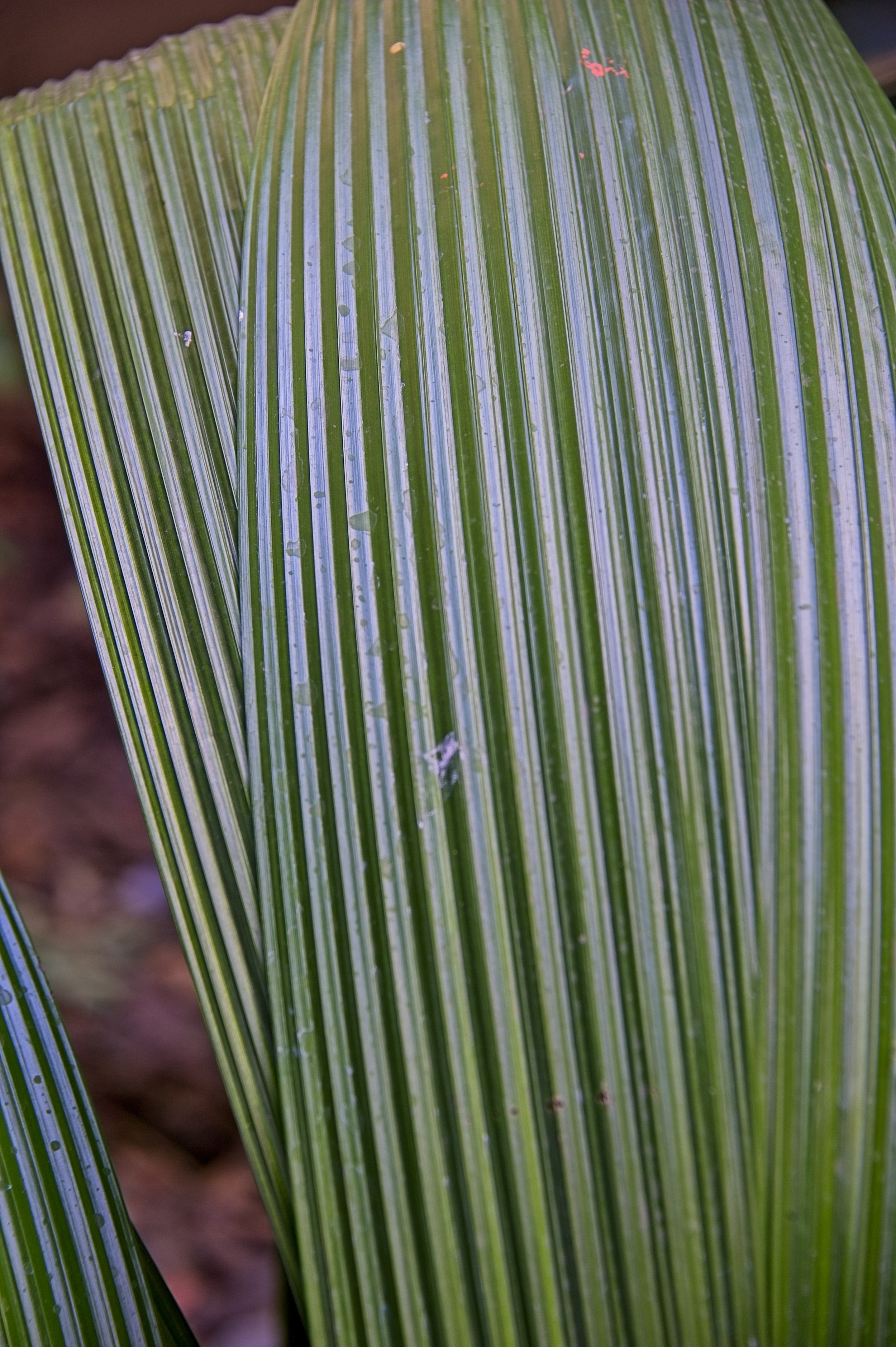 DSC_7895.jpg