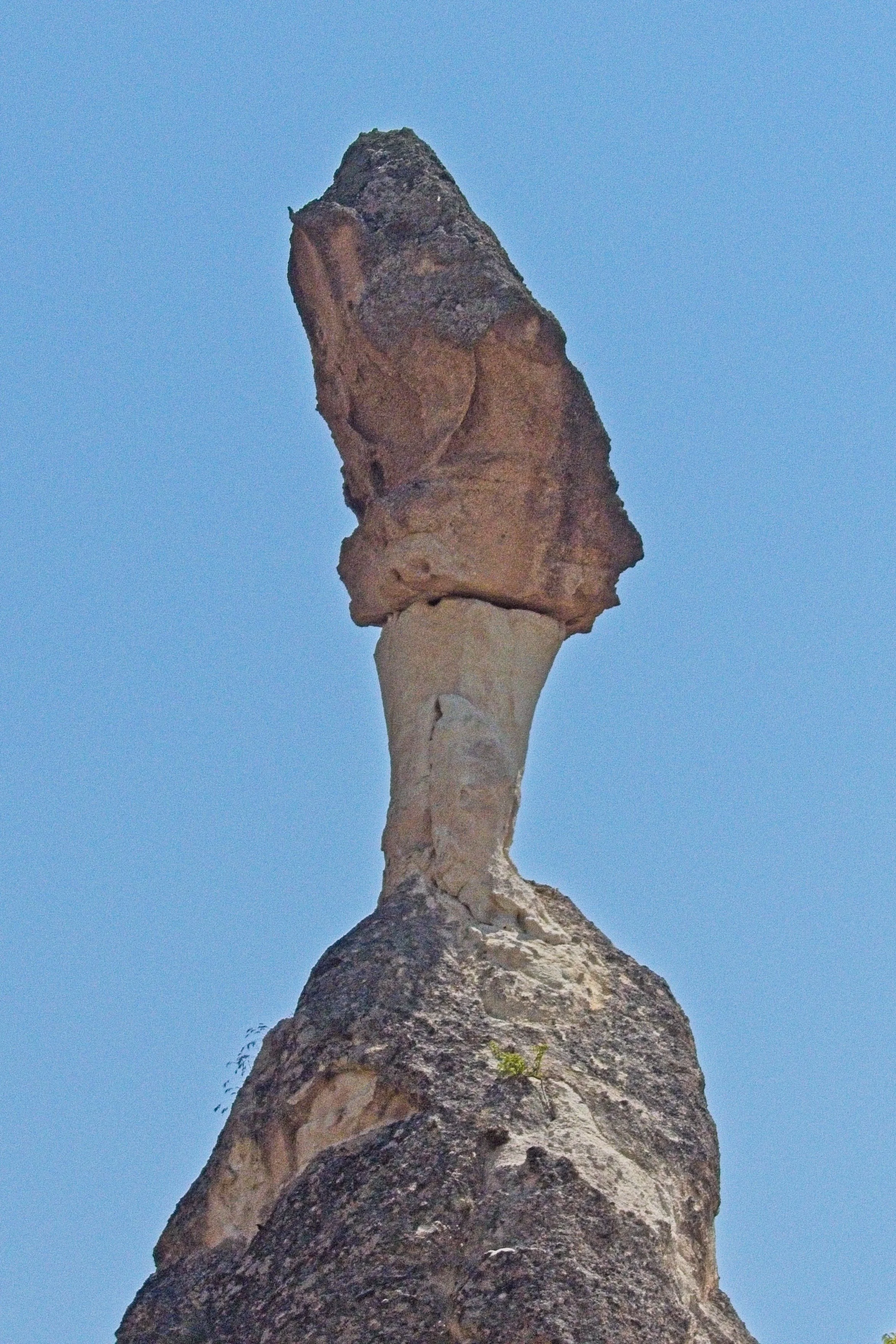 P1110479.jpg