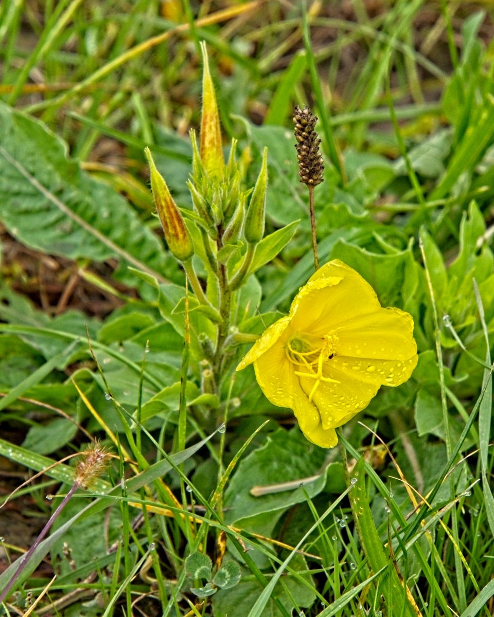 P9250614.jpg