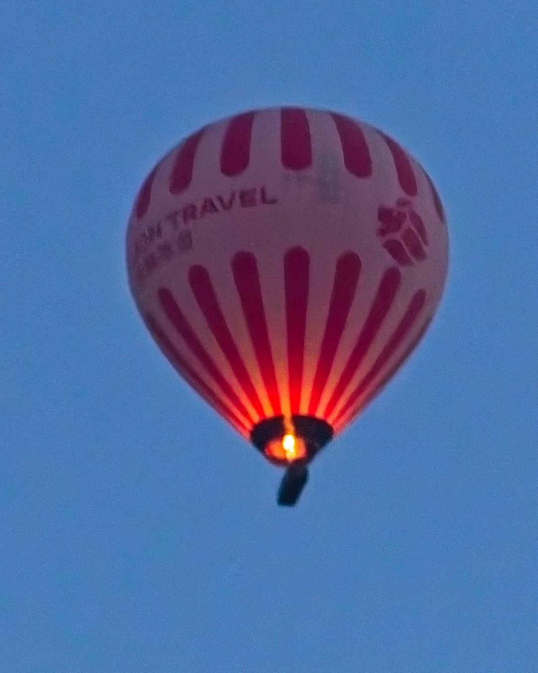 P1110348.jpg