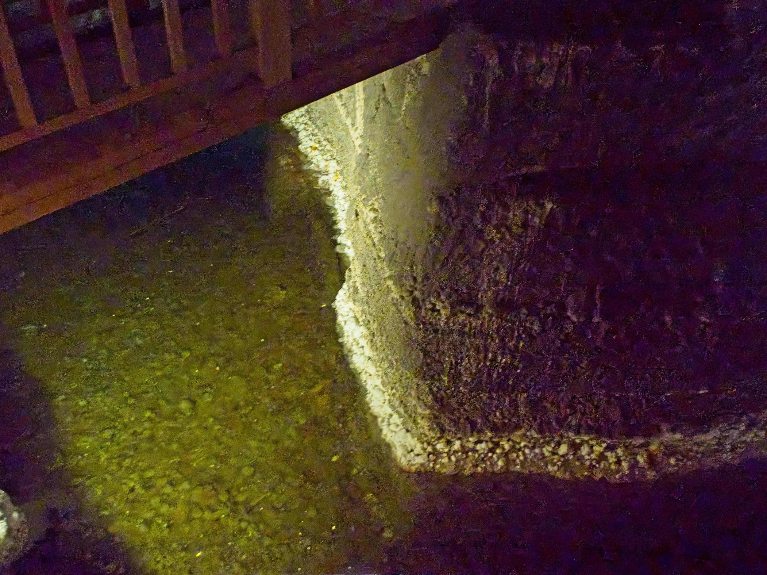 P9030294.jpg