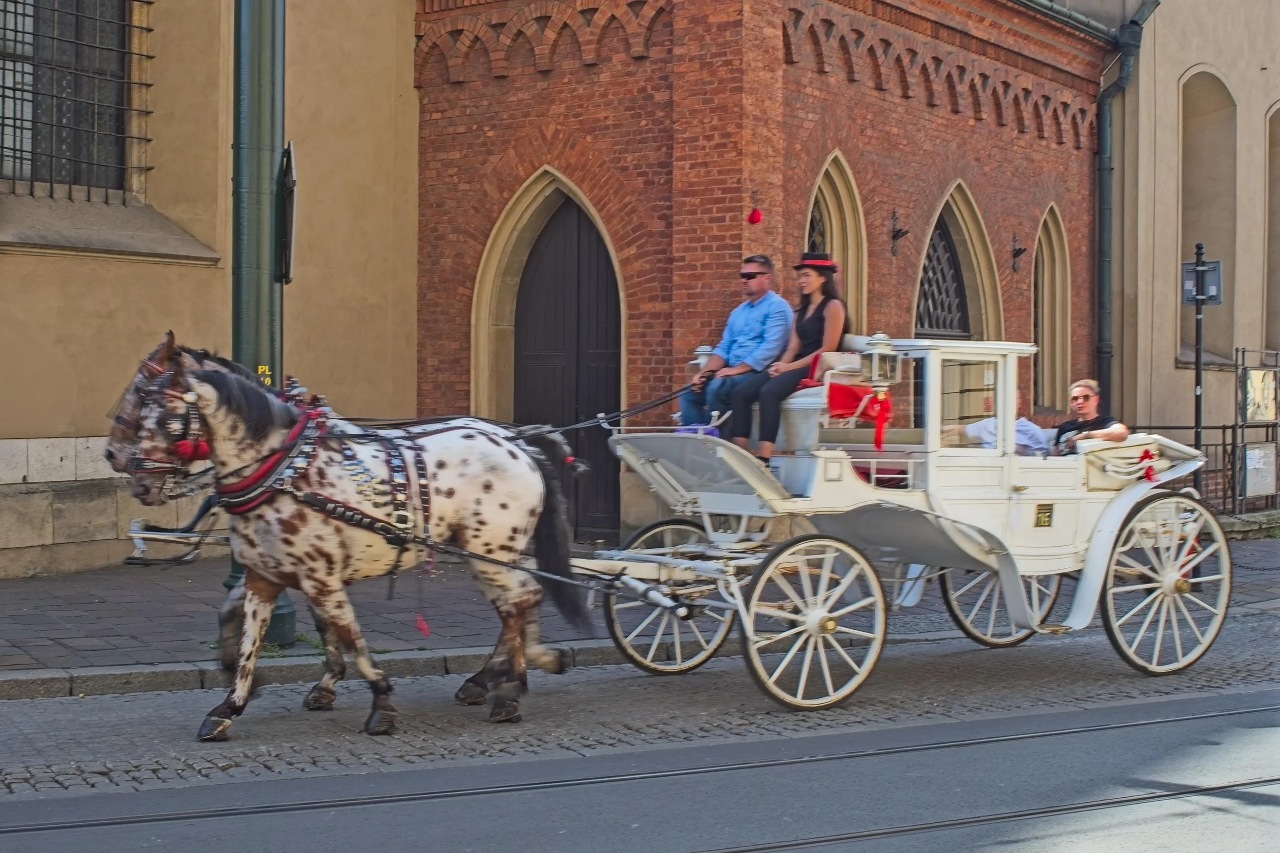 P9020143.jpg