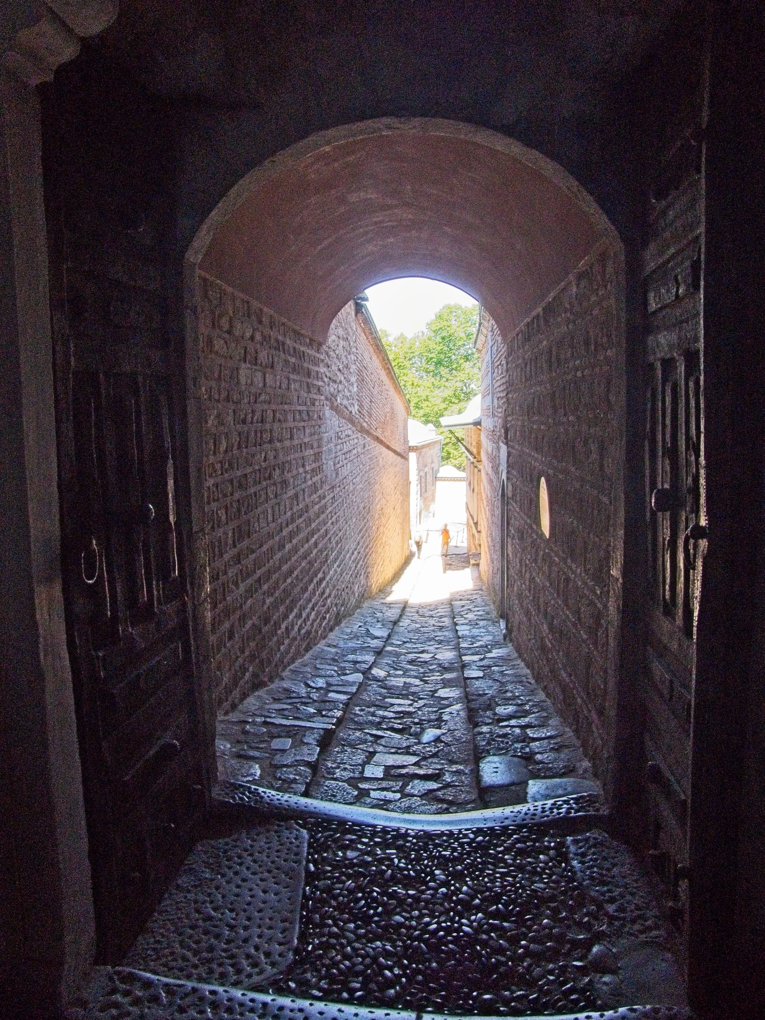 P1100669.jpg