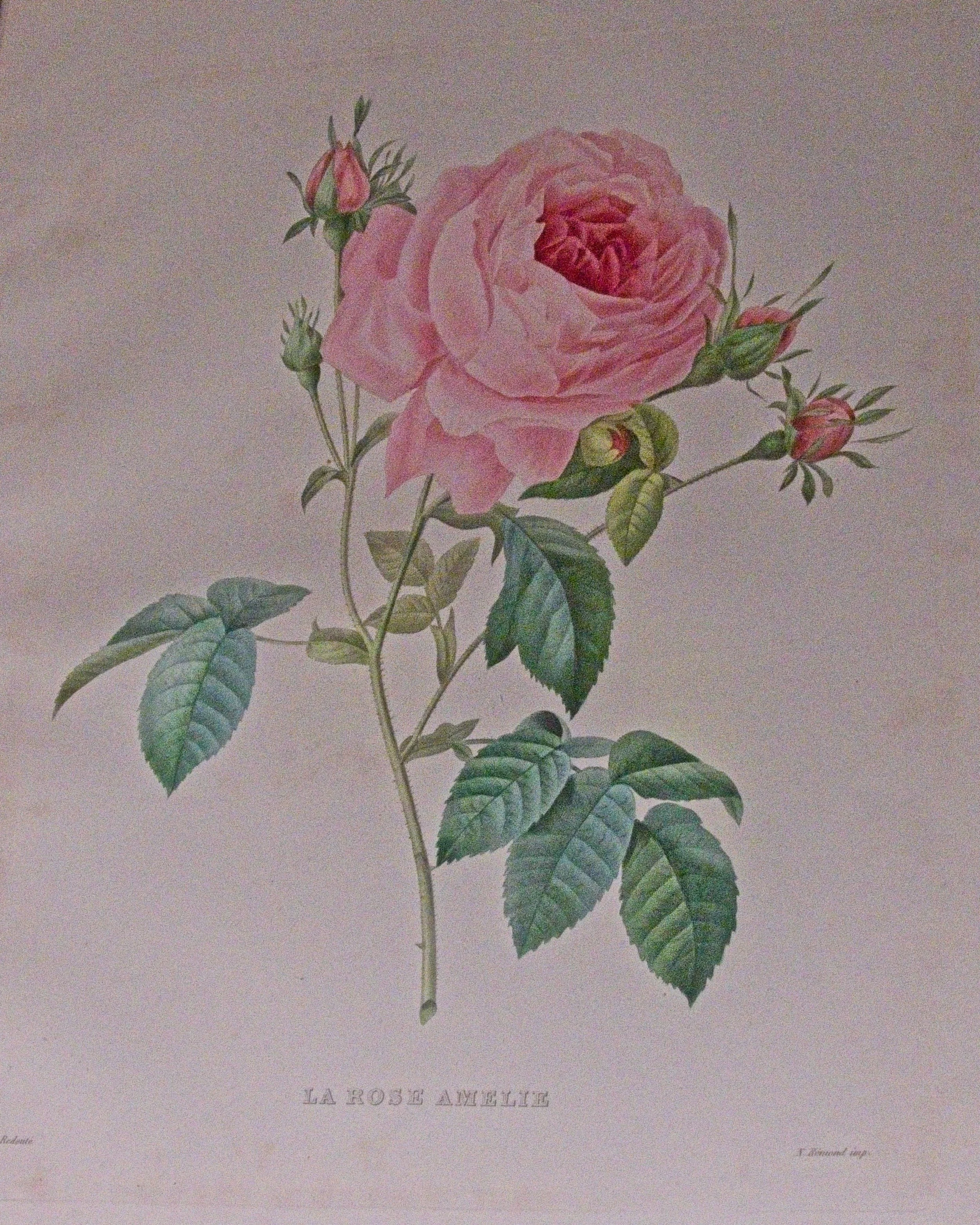 P1100228.jpg