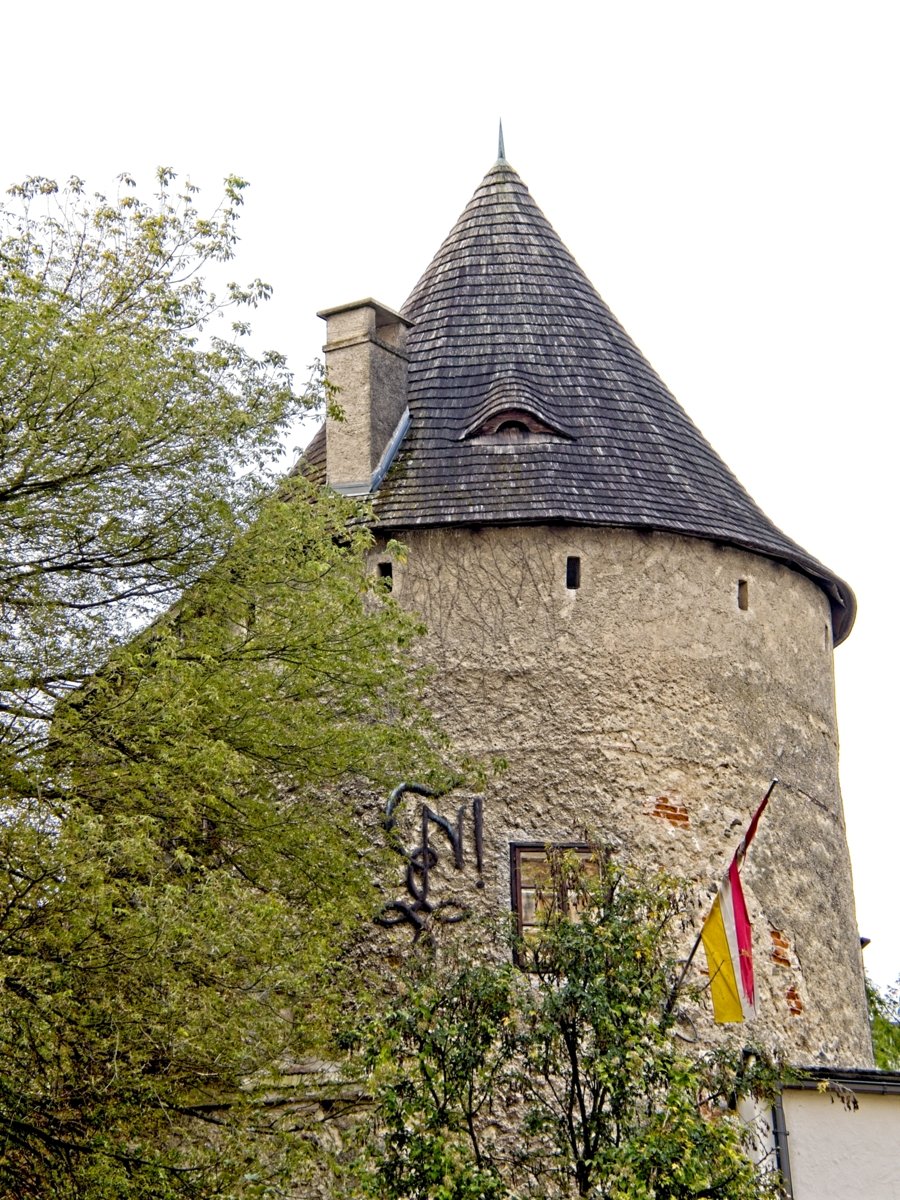 P9250561.jpg