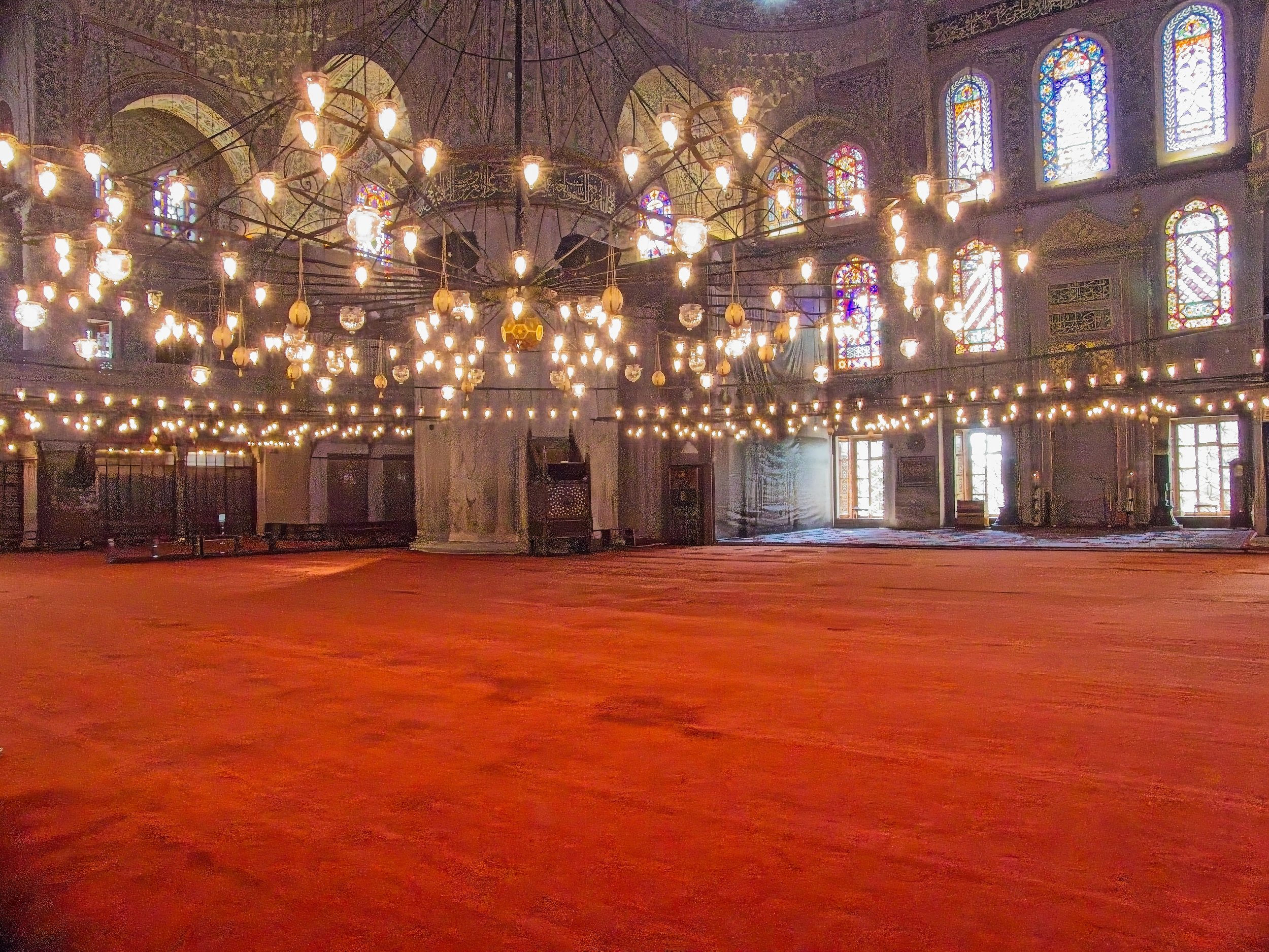 P1100489.jpg