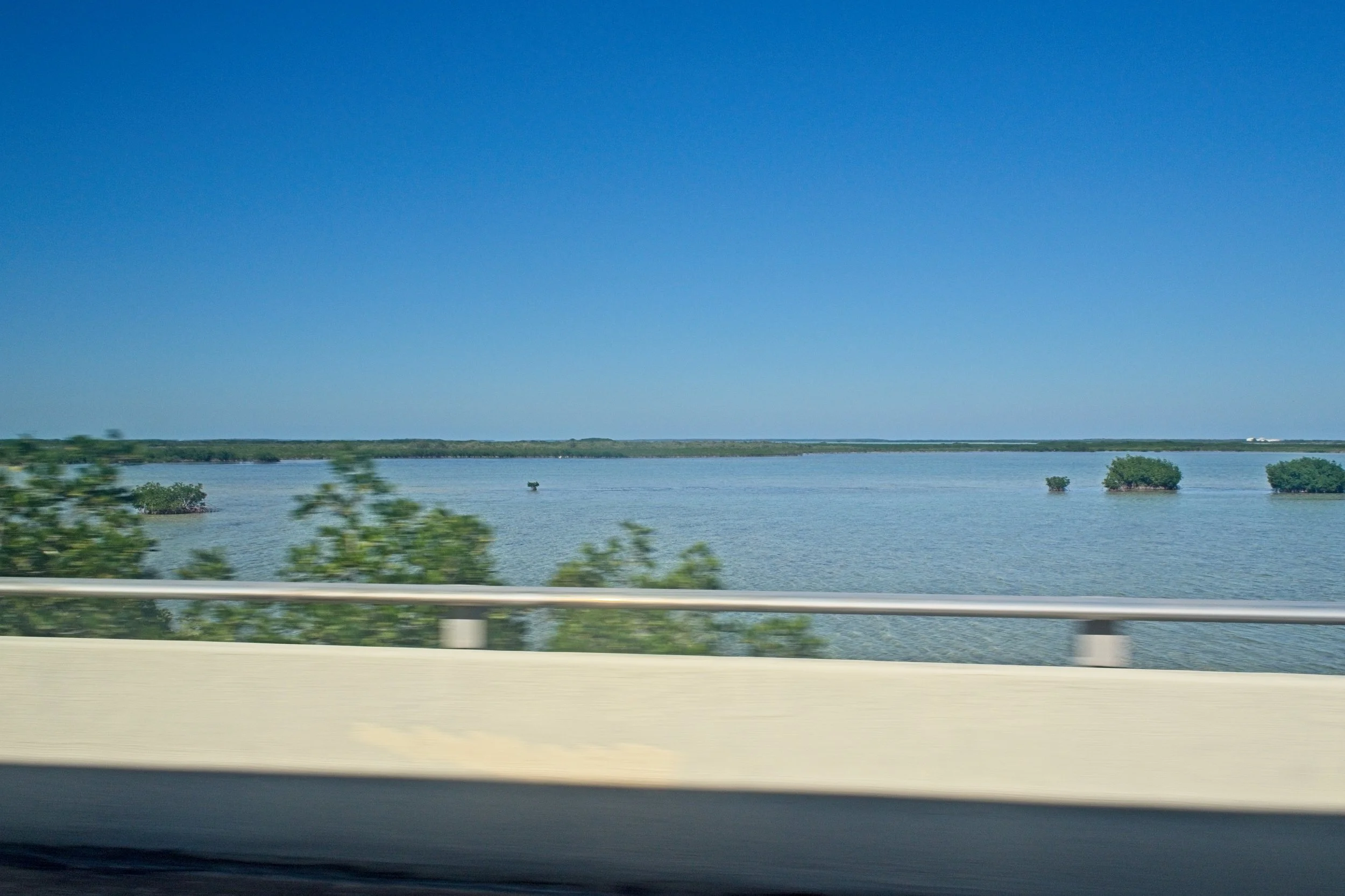 PC260388.jpg
