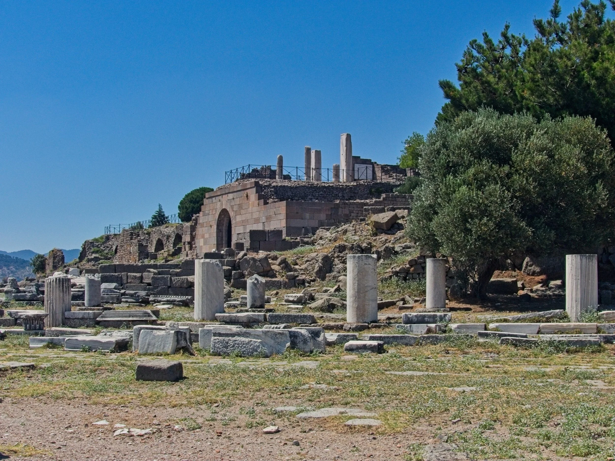 P1100942.jpg