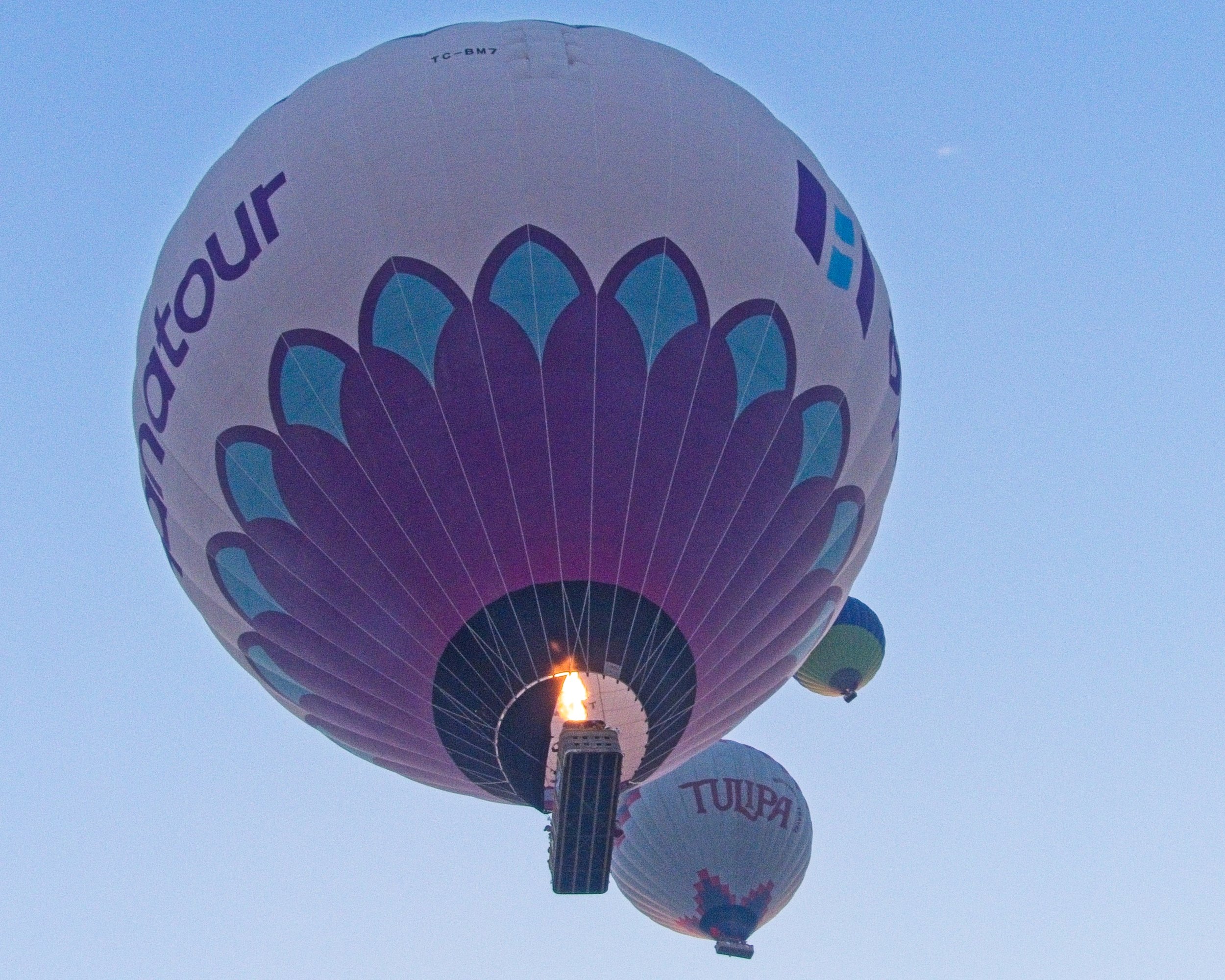 P1110366.jpg