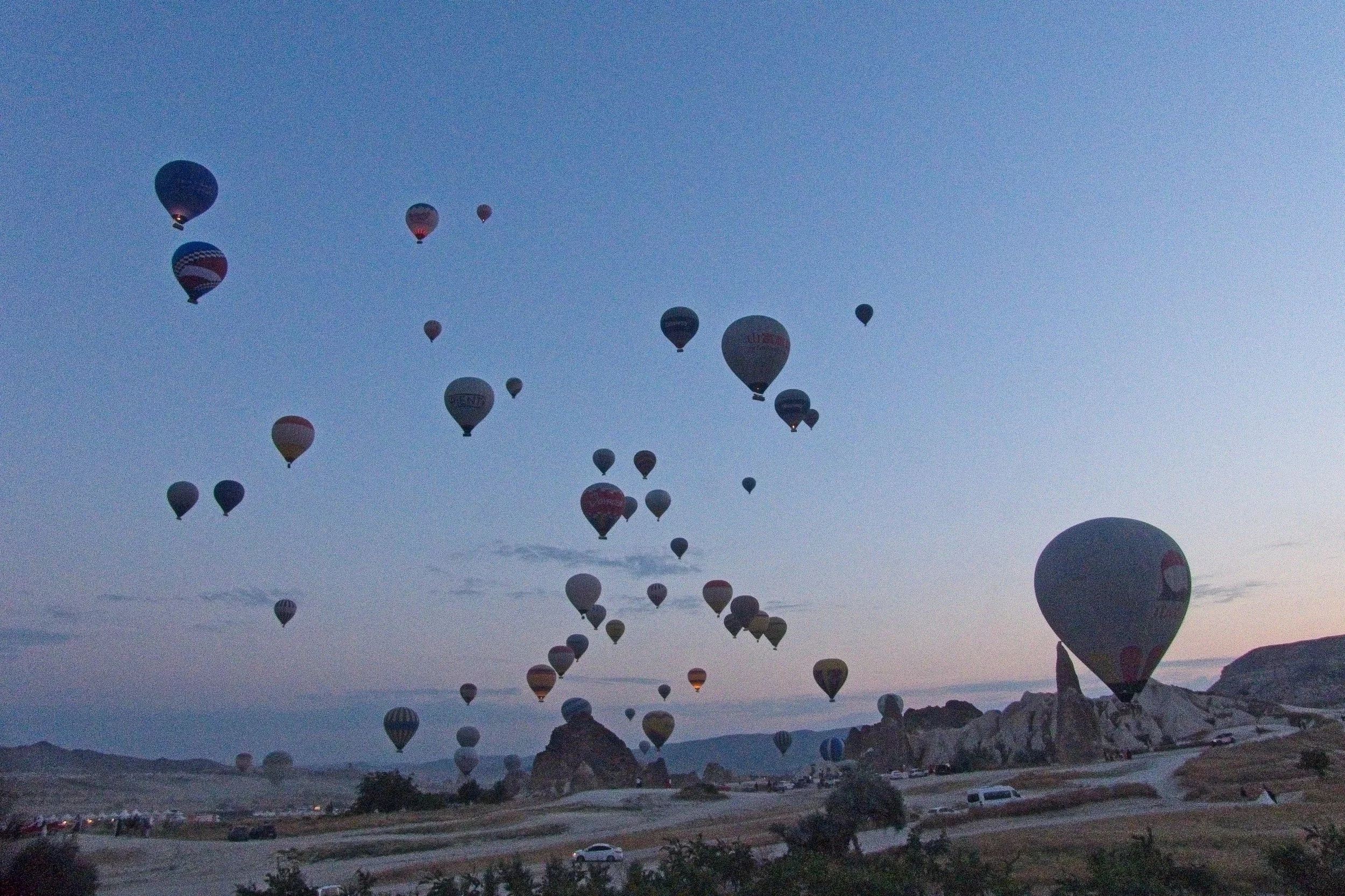 P1110346.jpg