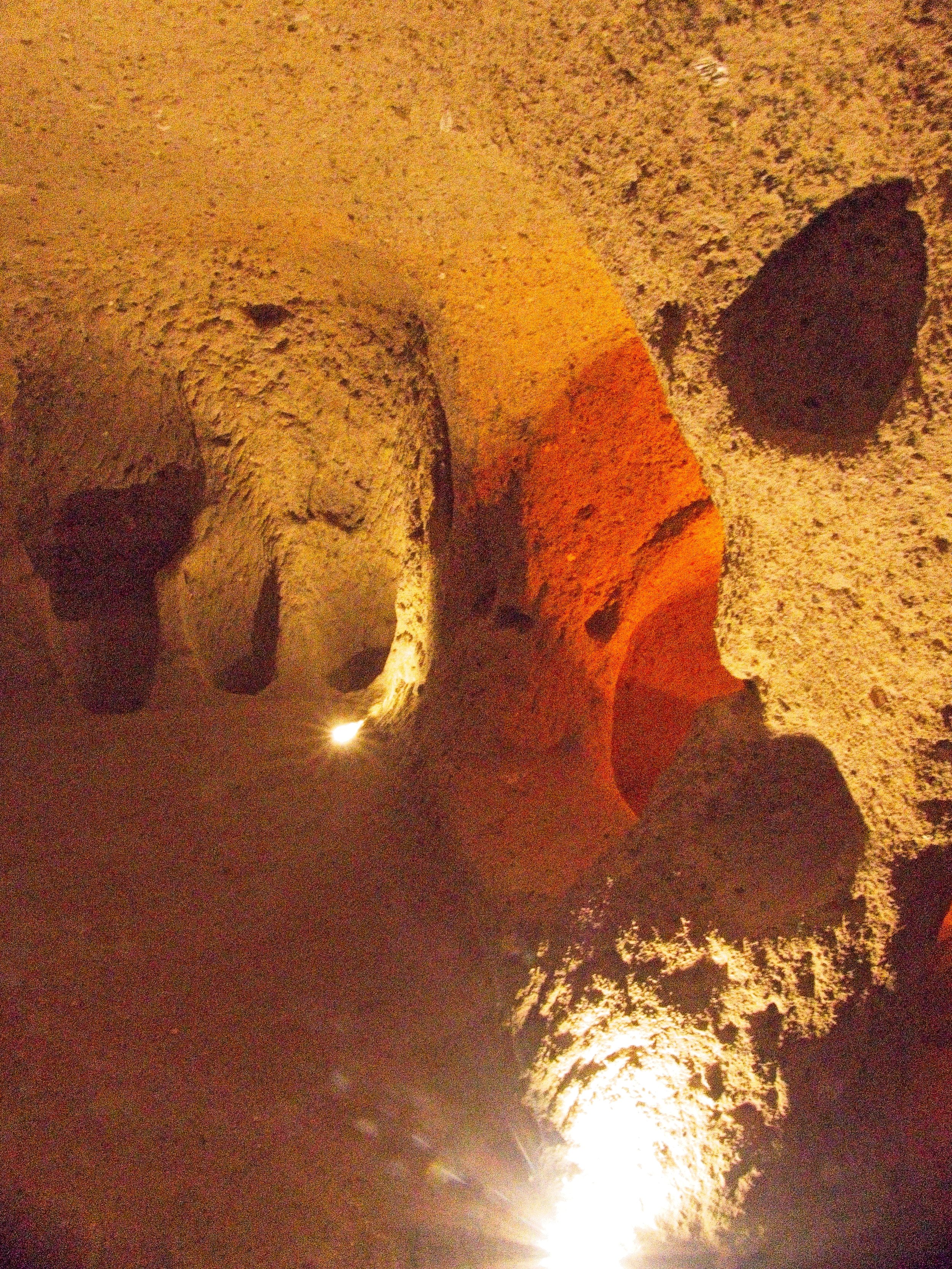 P1110265.jpg