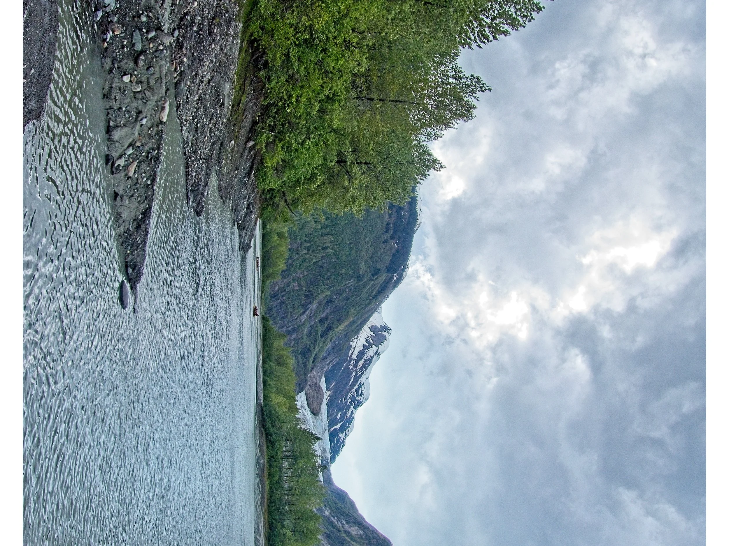 P1080827.jpg
