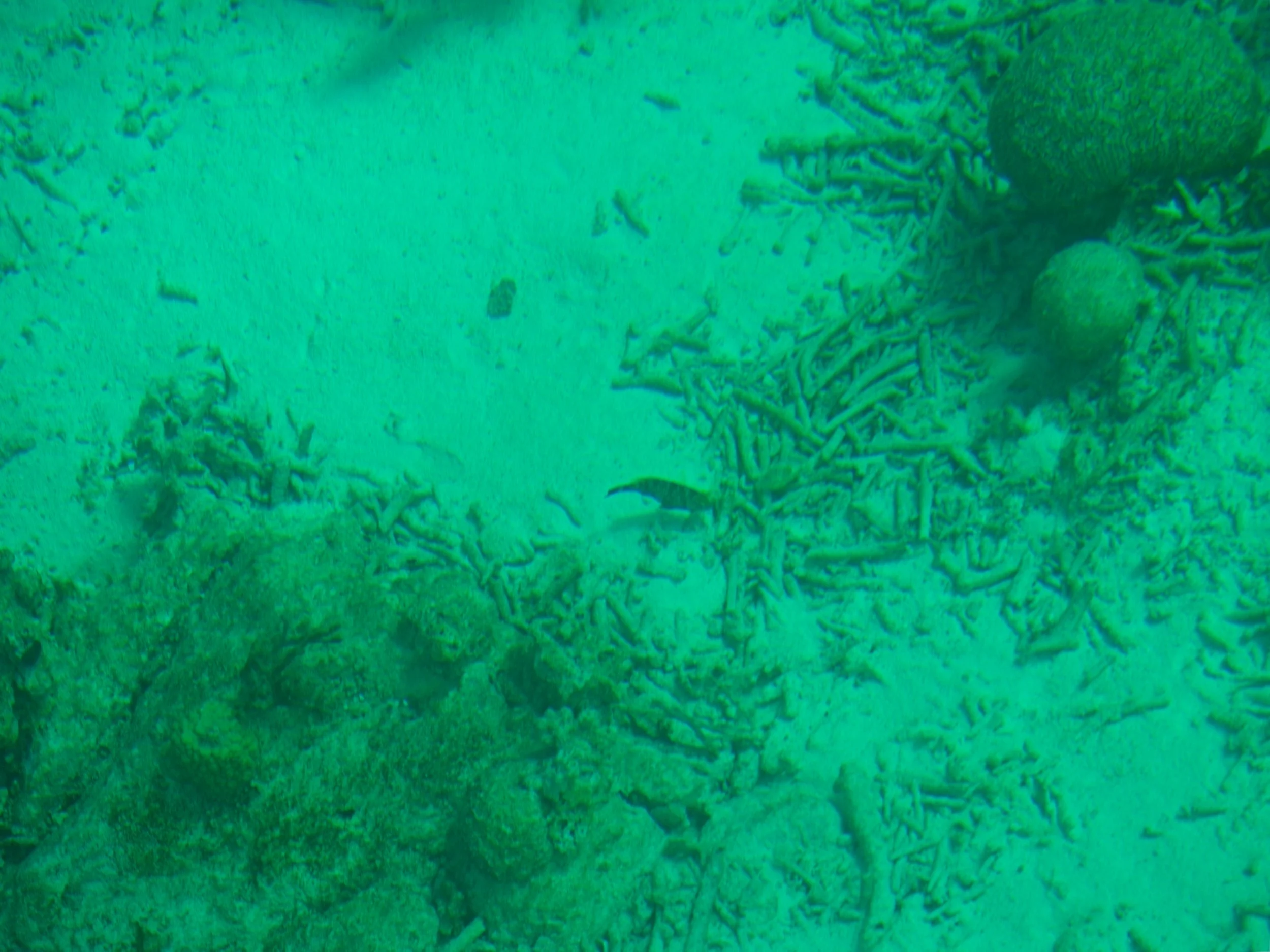 PC150076.jpg