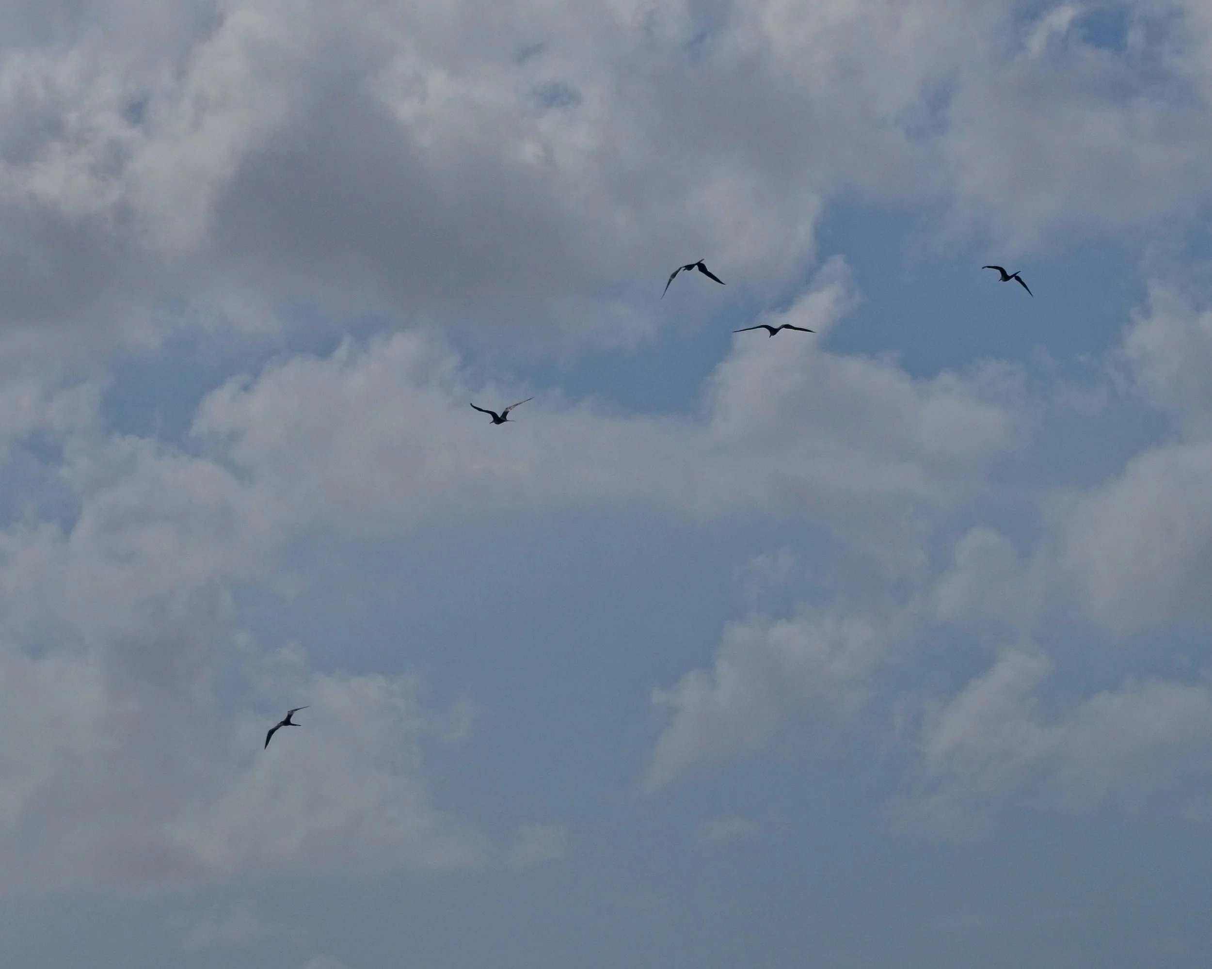 PC150081.jpg