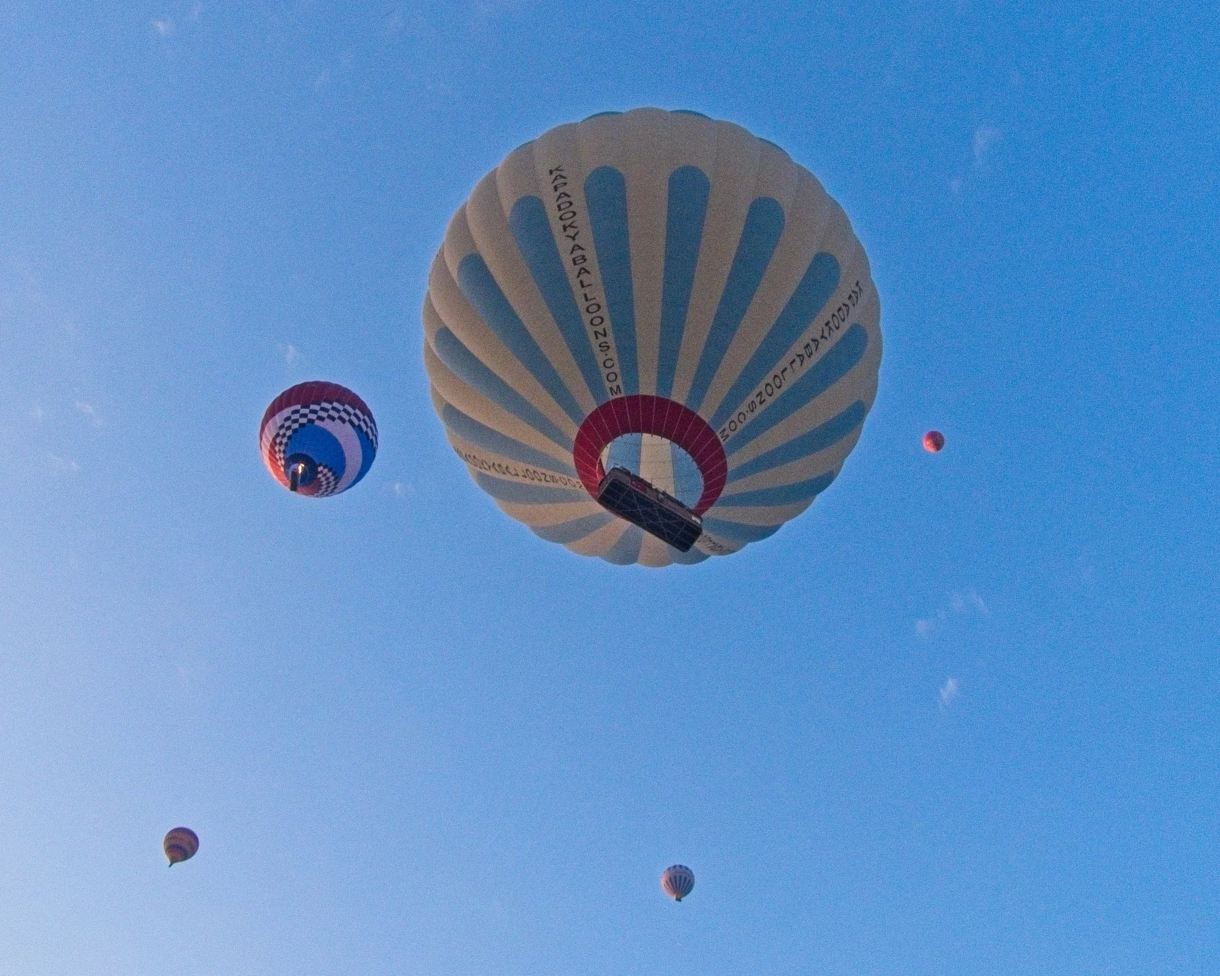 P1110370.jpg