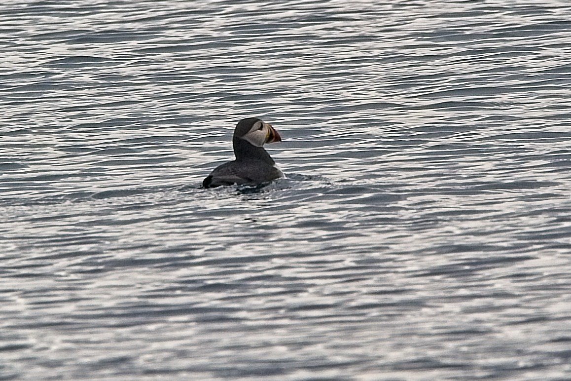 DSC_9897.jpg
