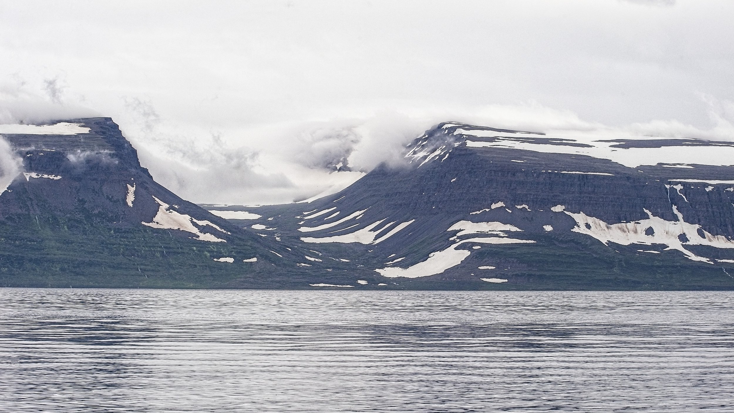 DSC_9837.jpg