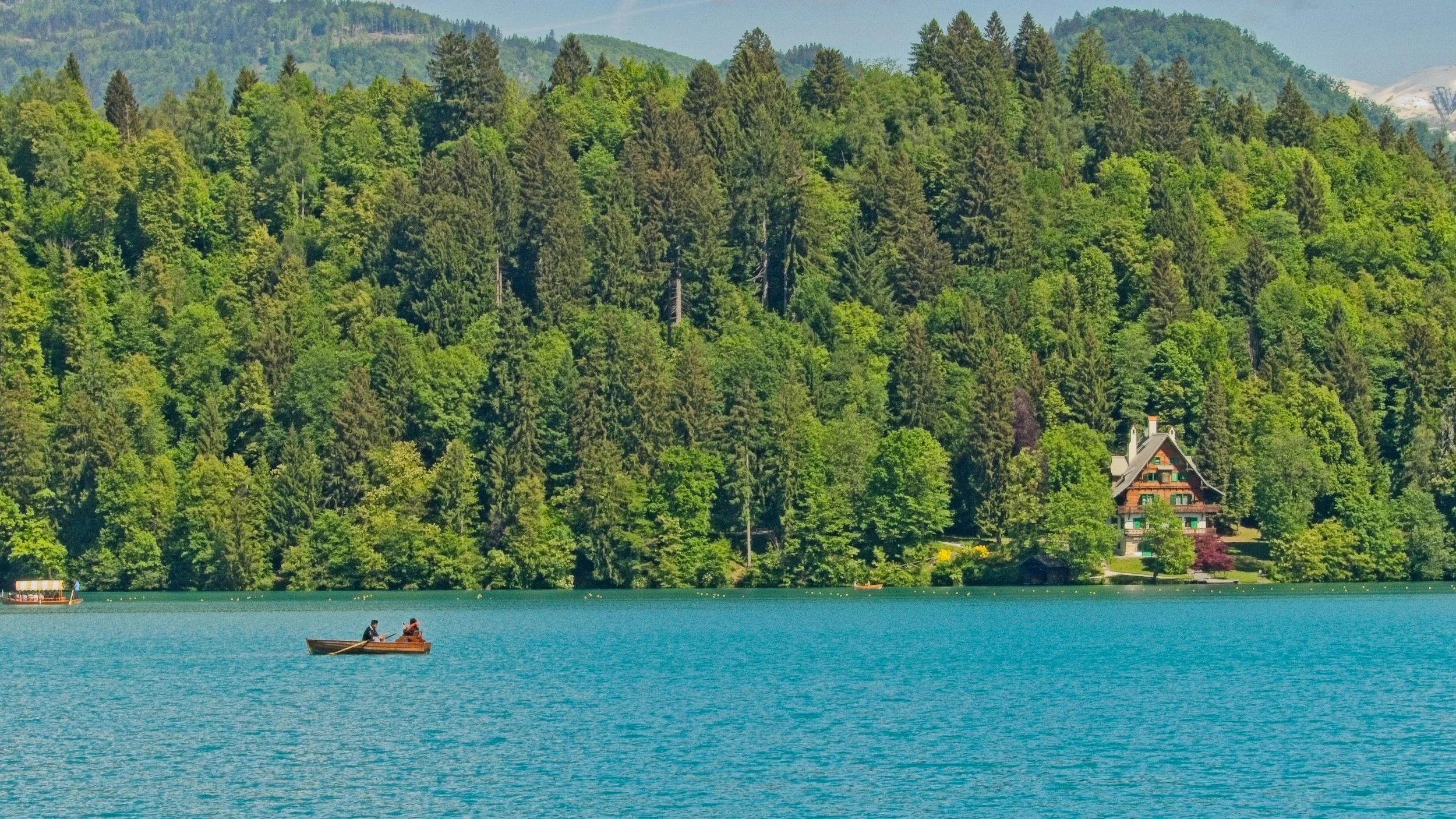 P1100303.jpg