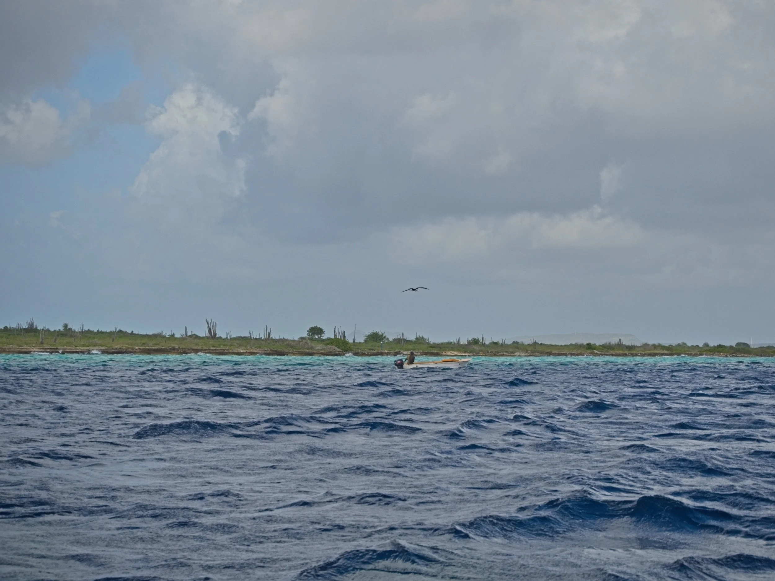 PC150056.jpg