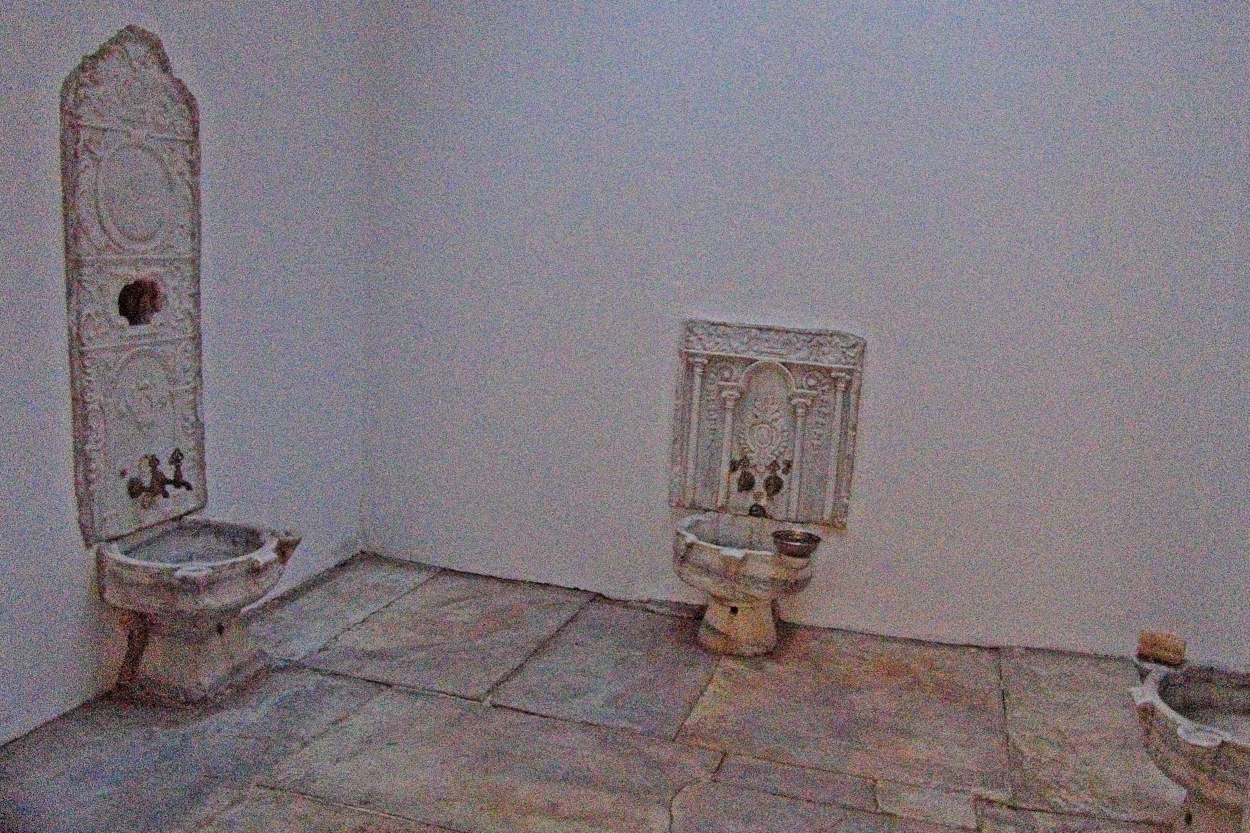 P1100684.jpg