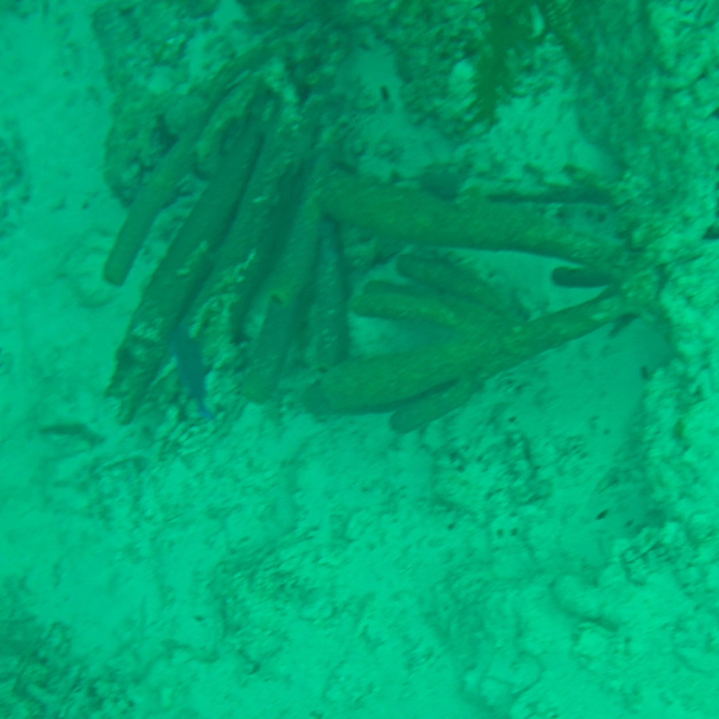 PC150075.jpg