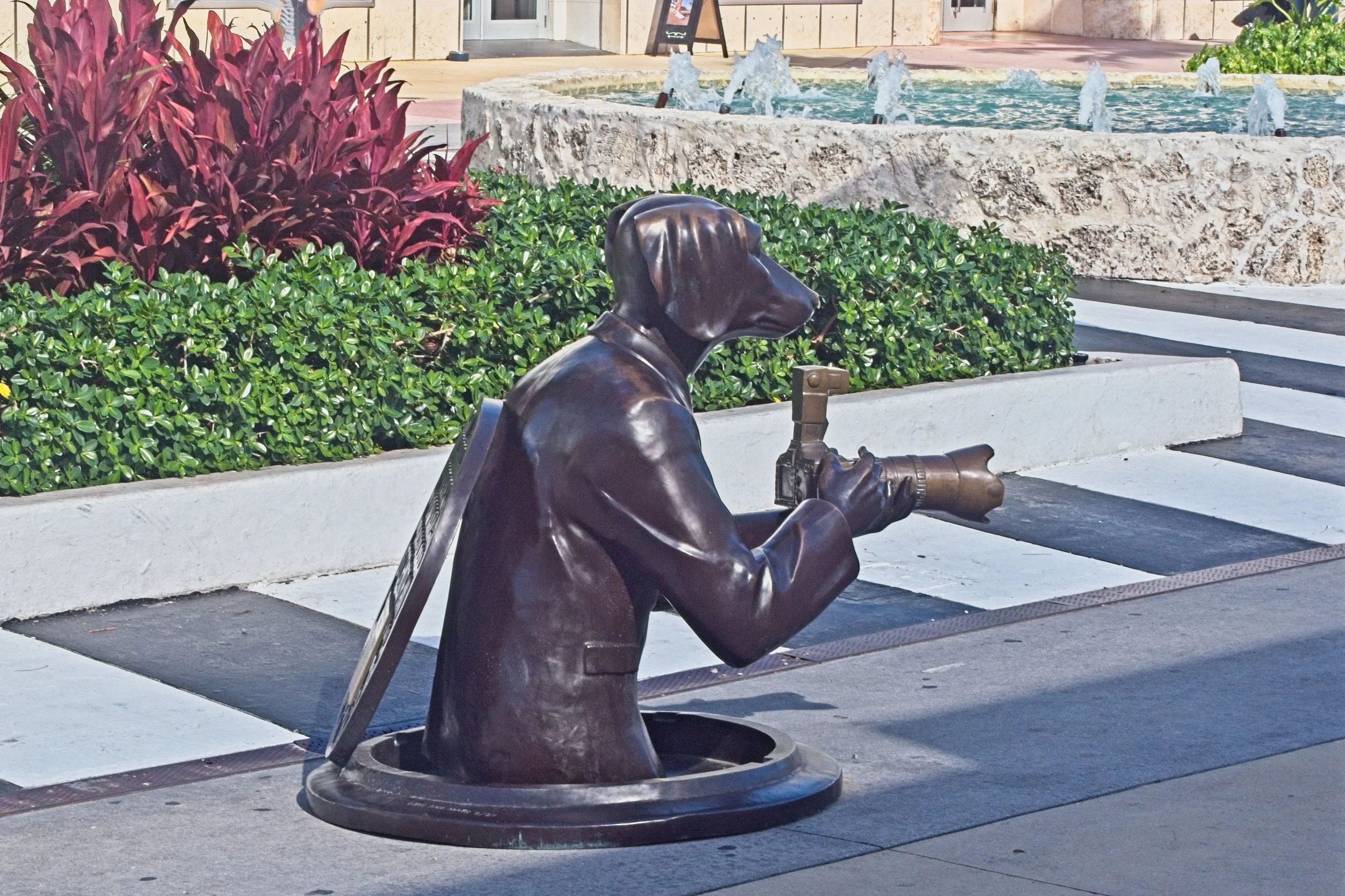 PC240271.jpg
