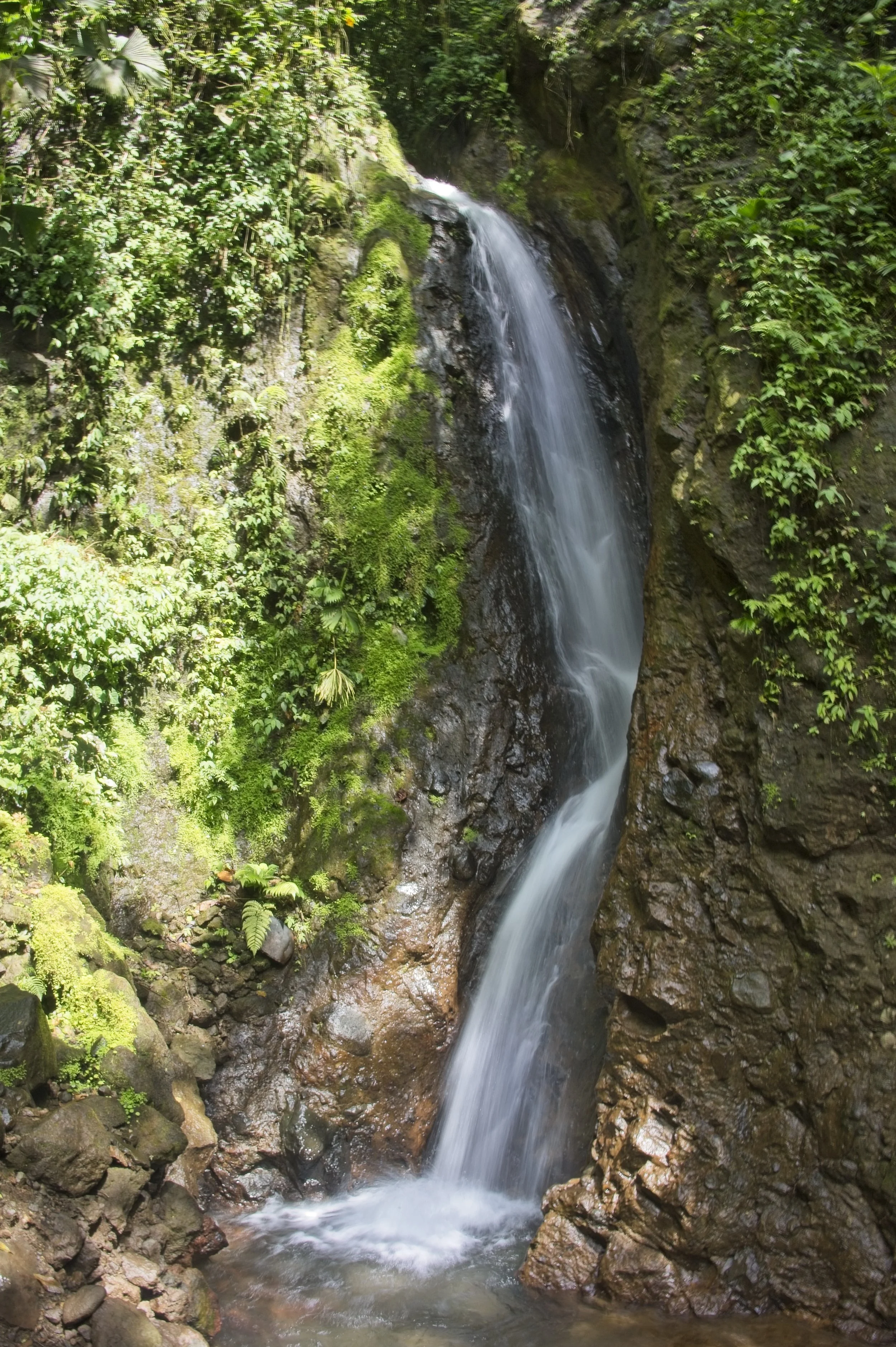 DSC_0267.jpg