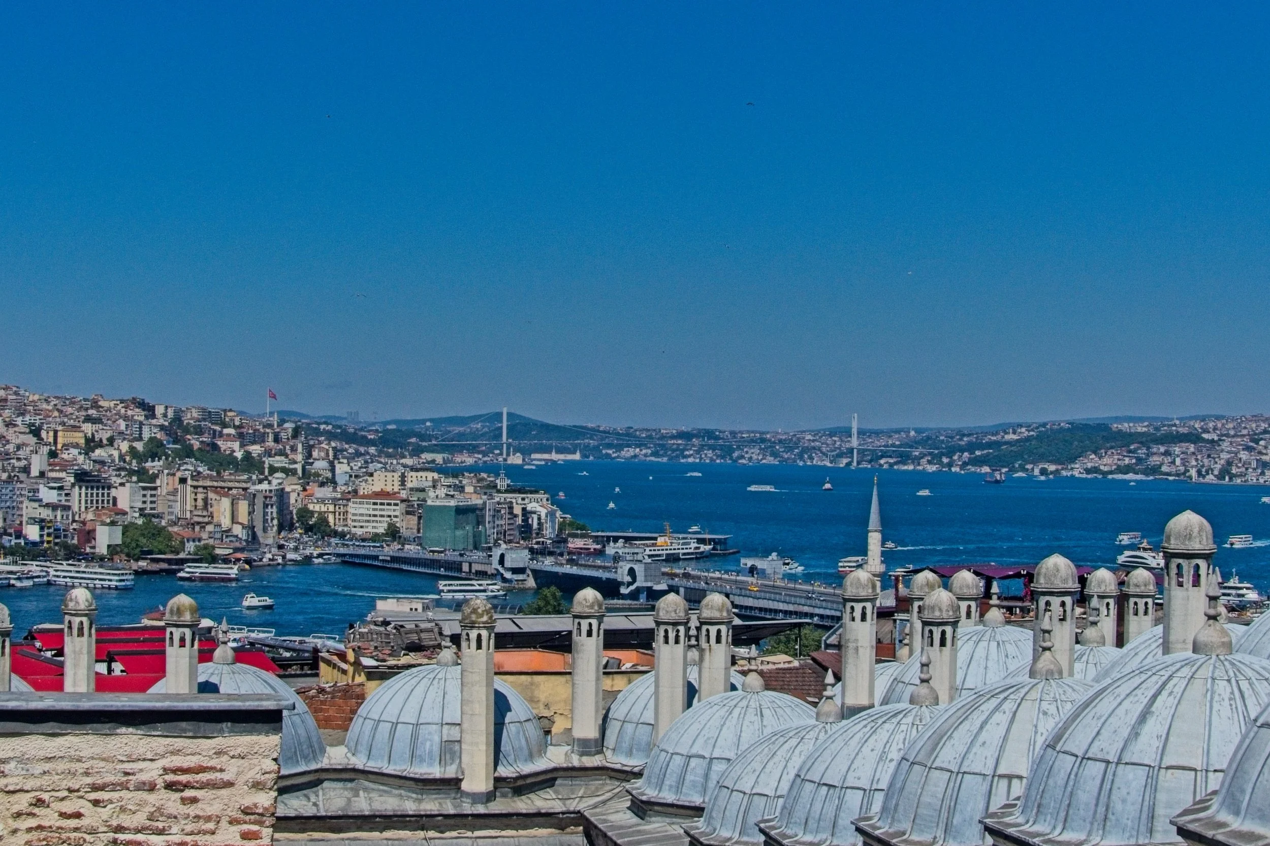 P1100603.jpg