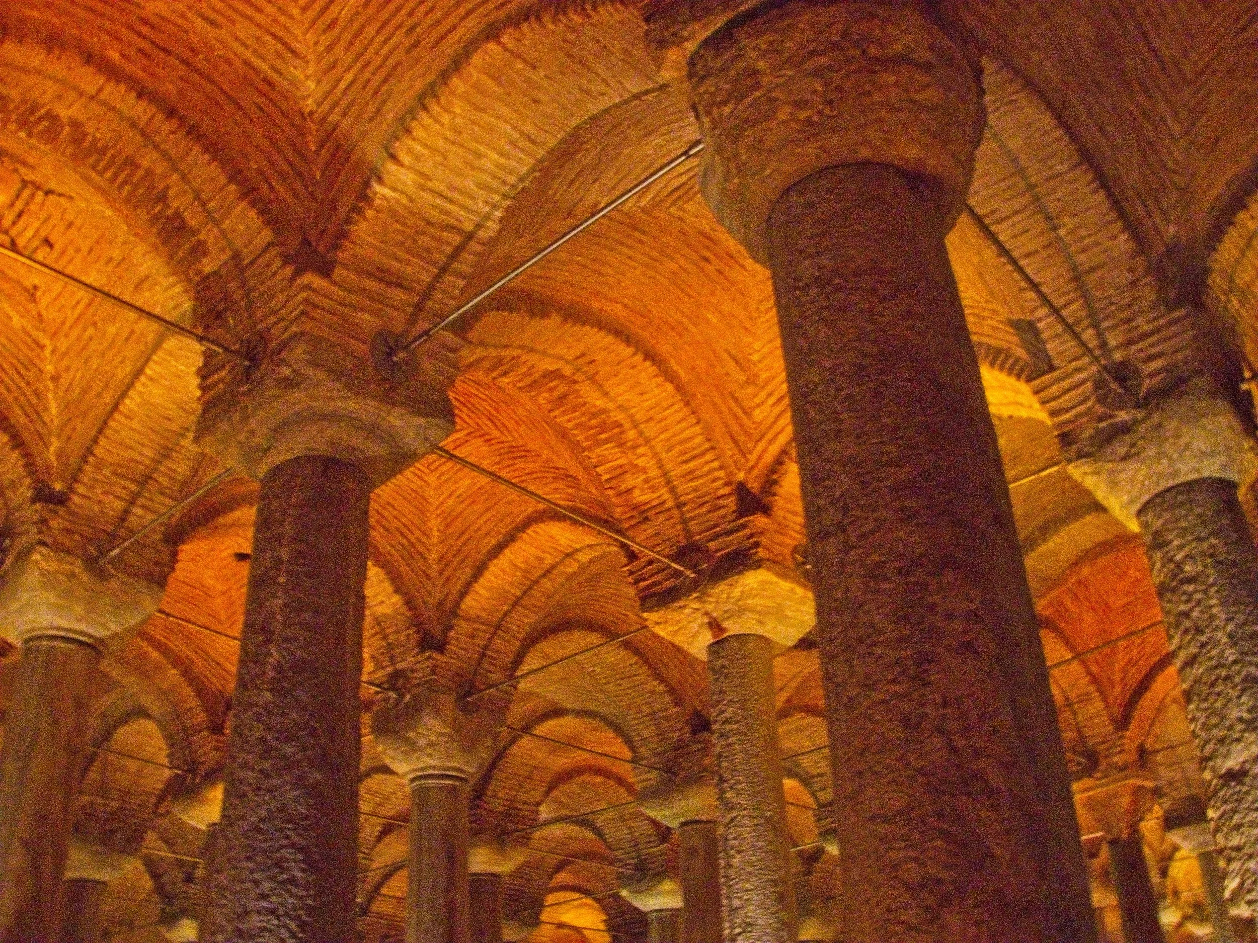 P1100534.jpg