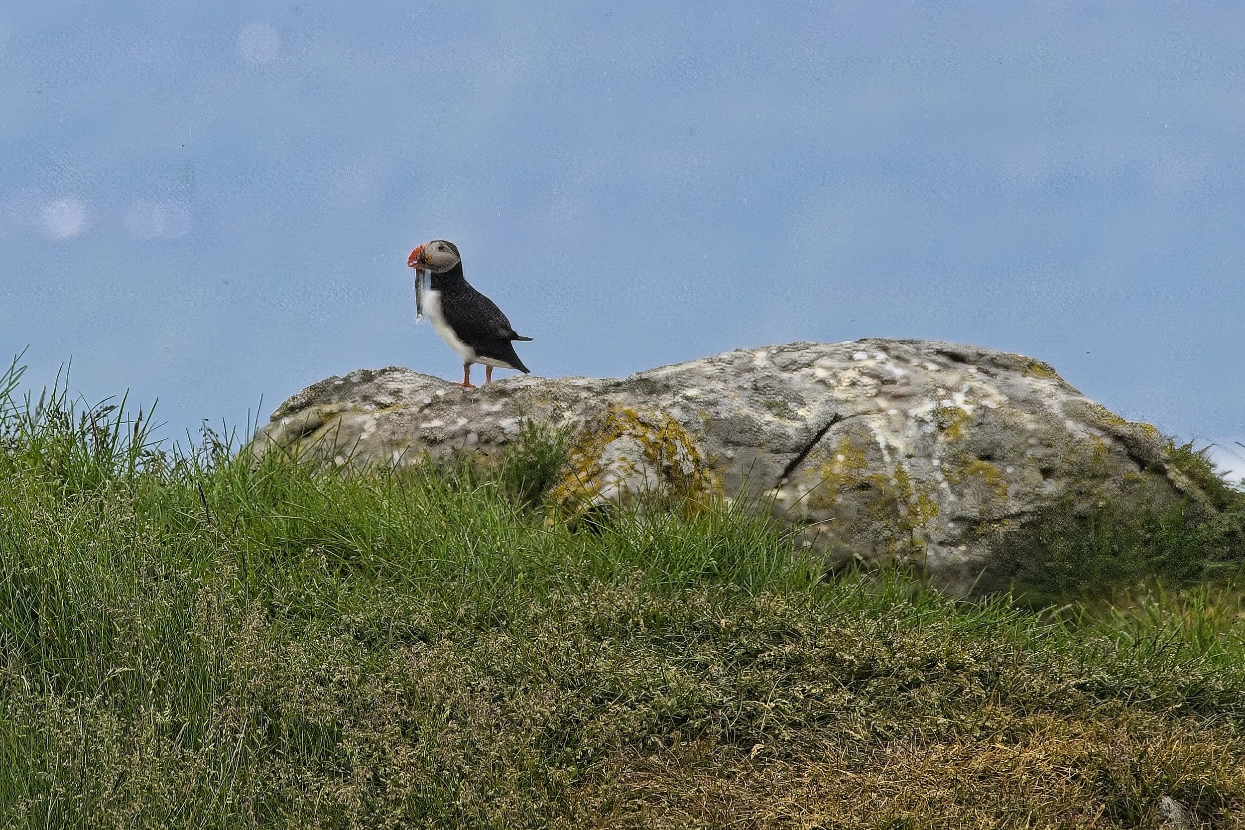 DSC_0015.jpg