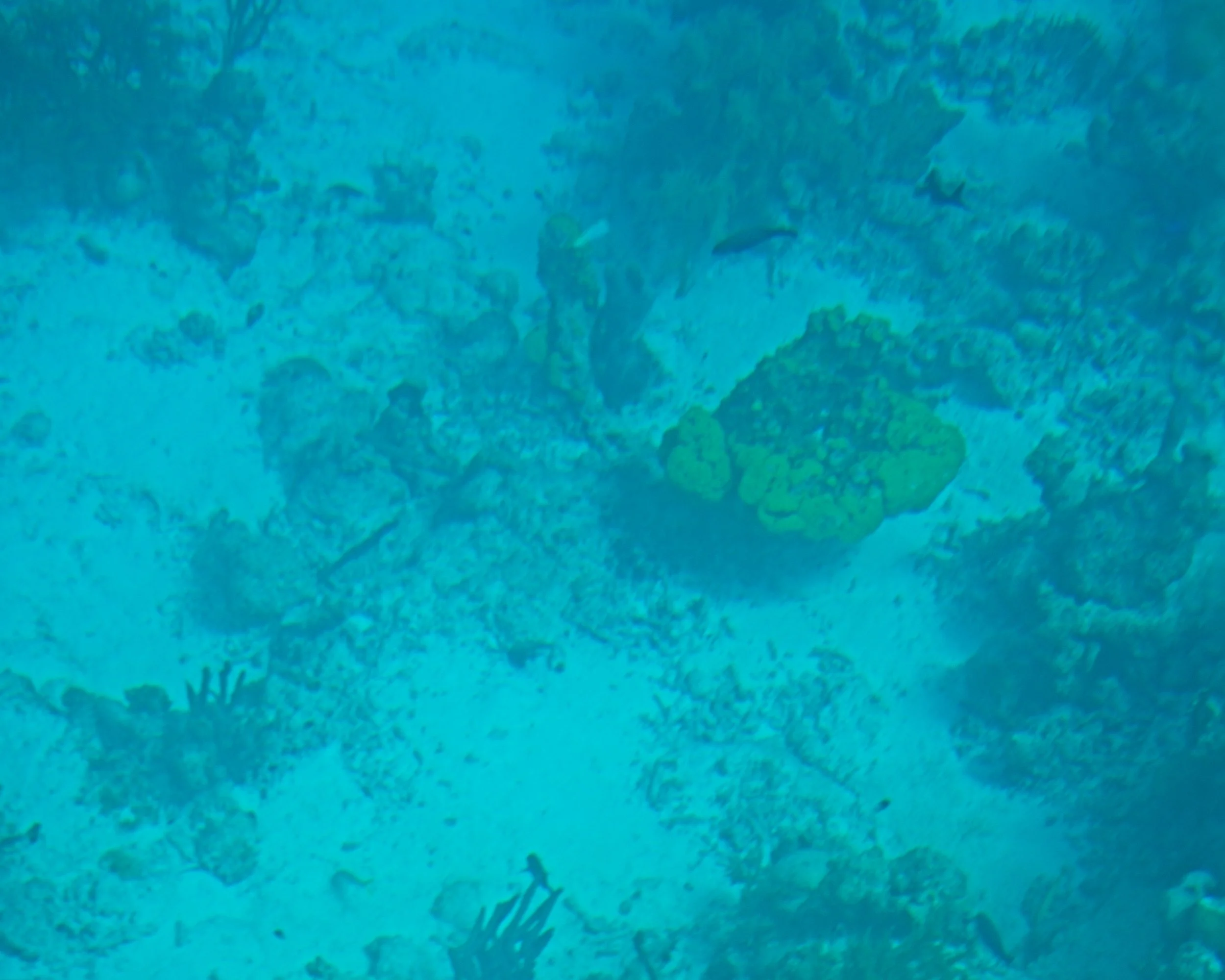 PC150078.jpg