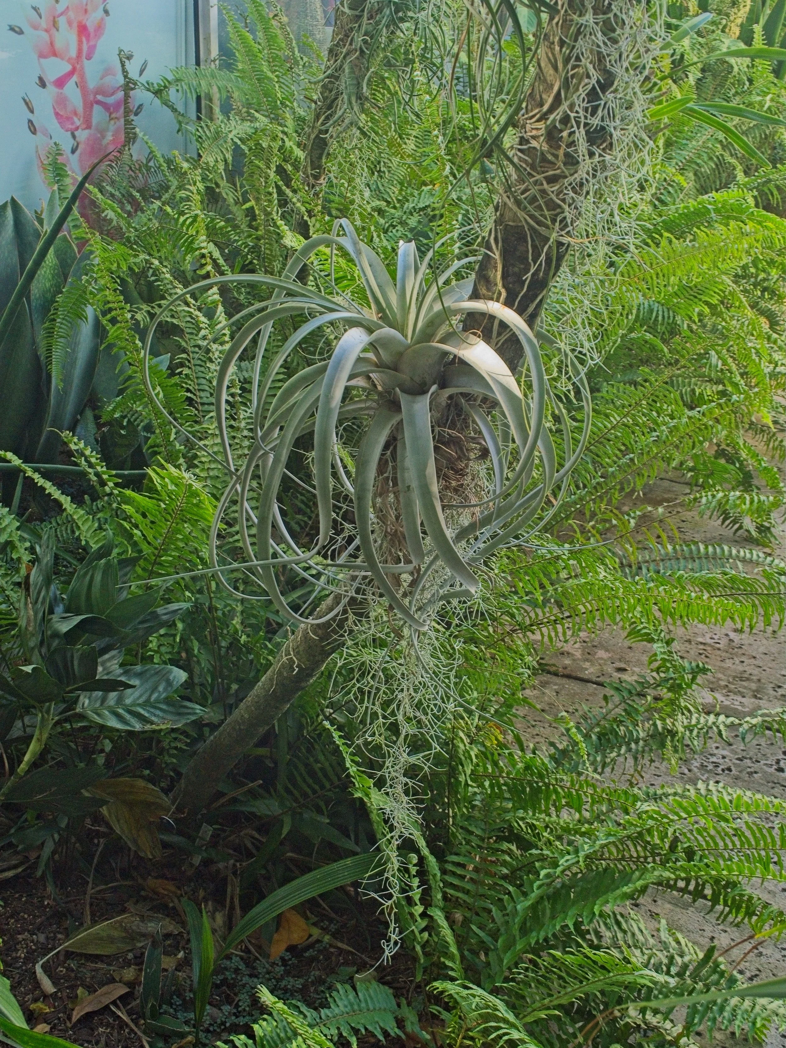 PC240207.jpg