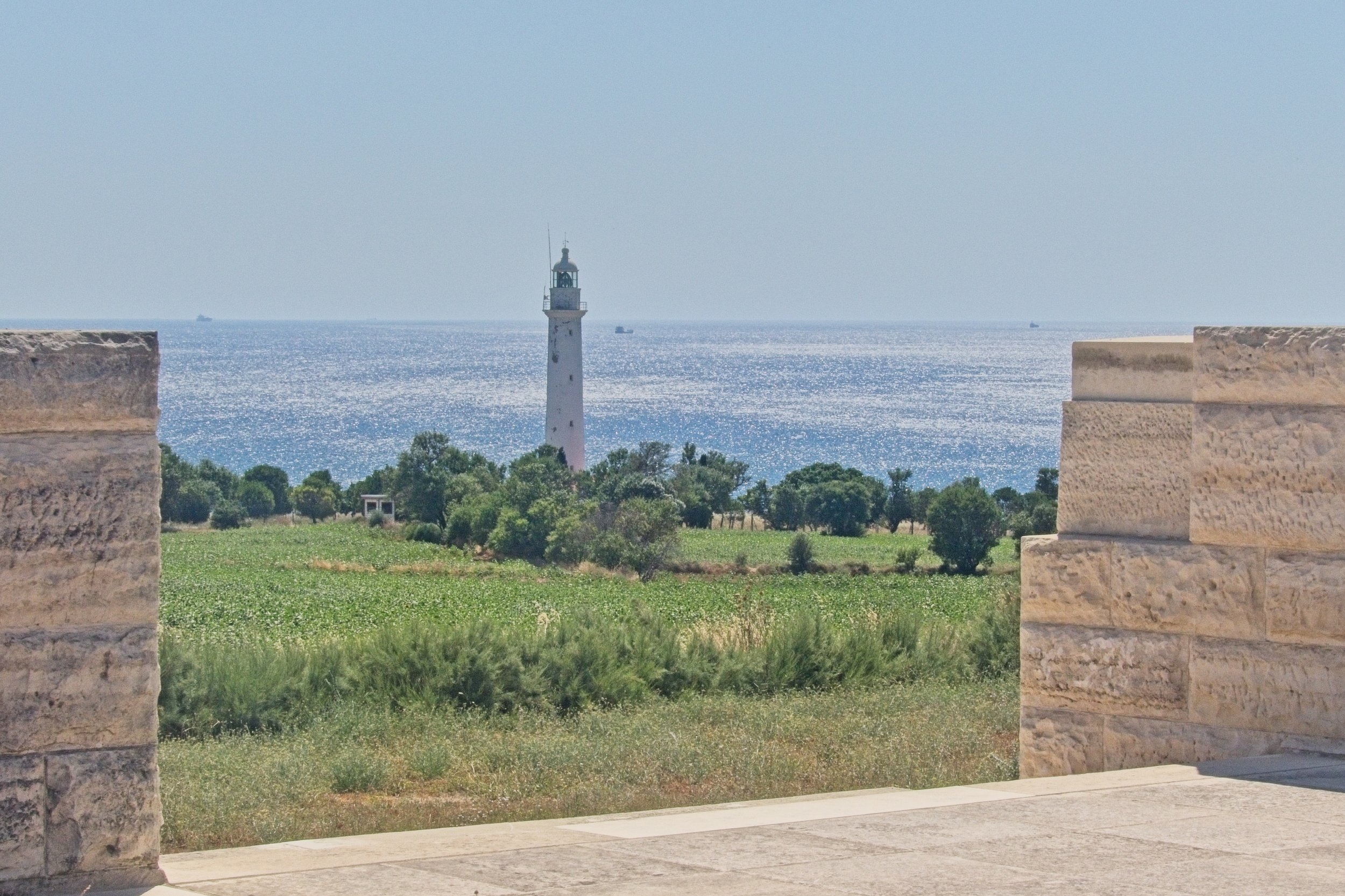 P1100833.jpg