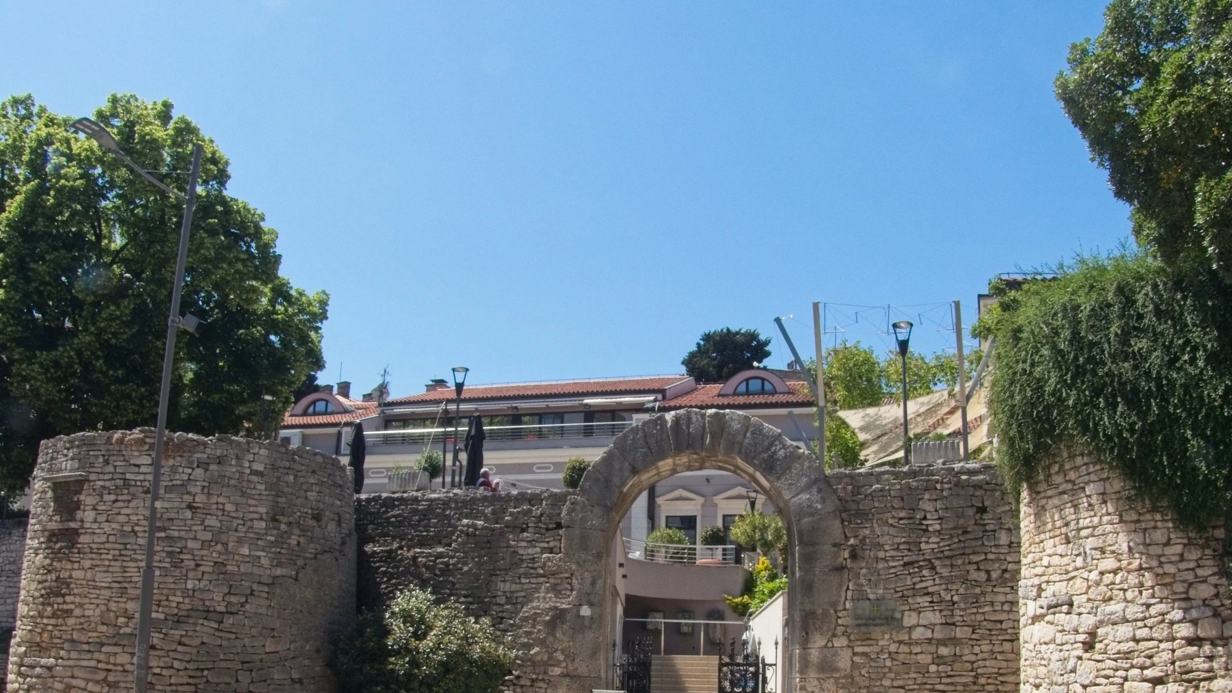 P1100442.jpg
