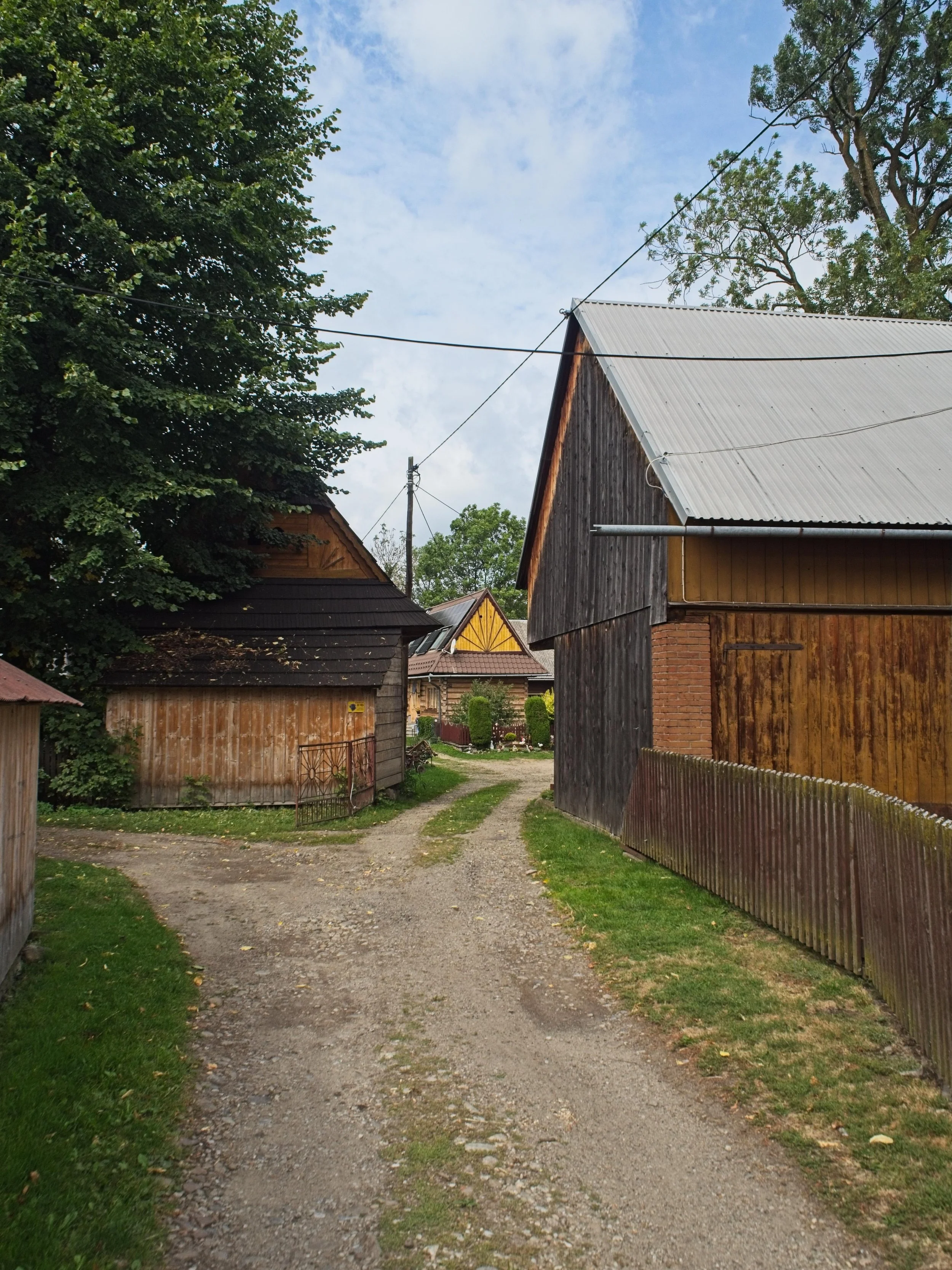 P9040317.jpg