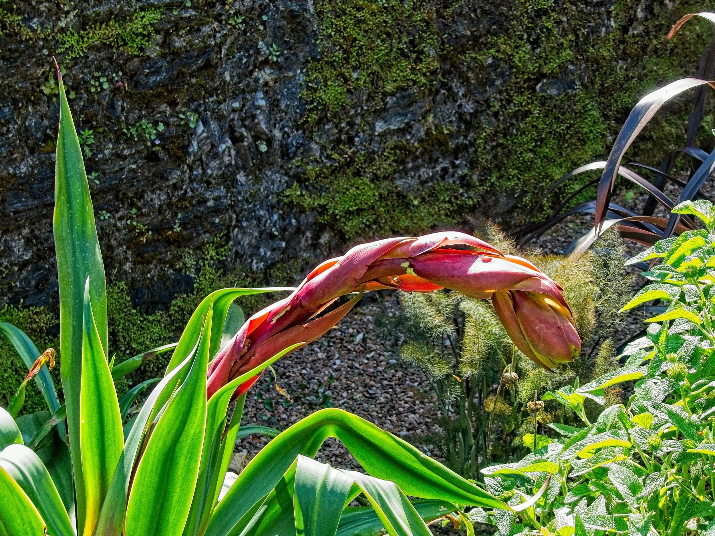 P1080042.jpg