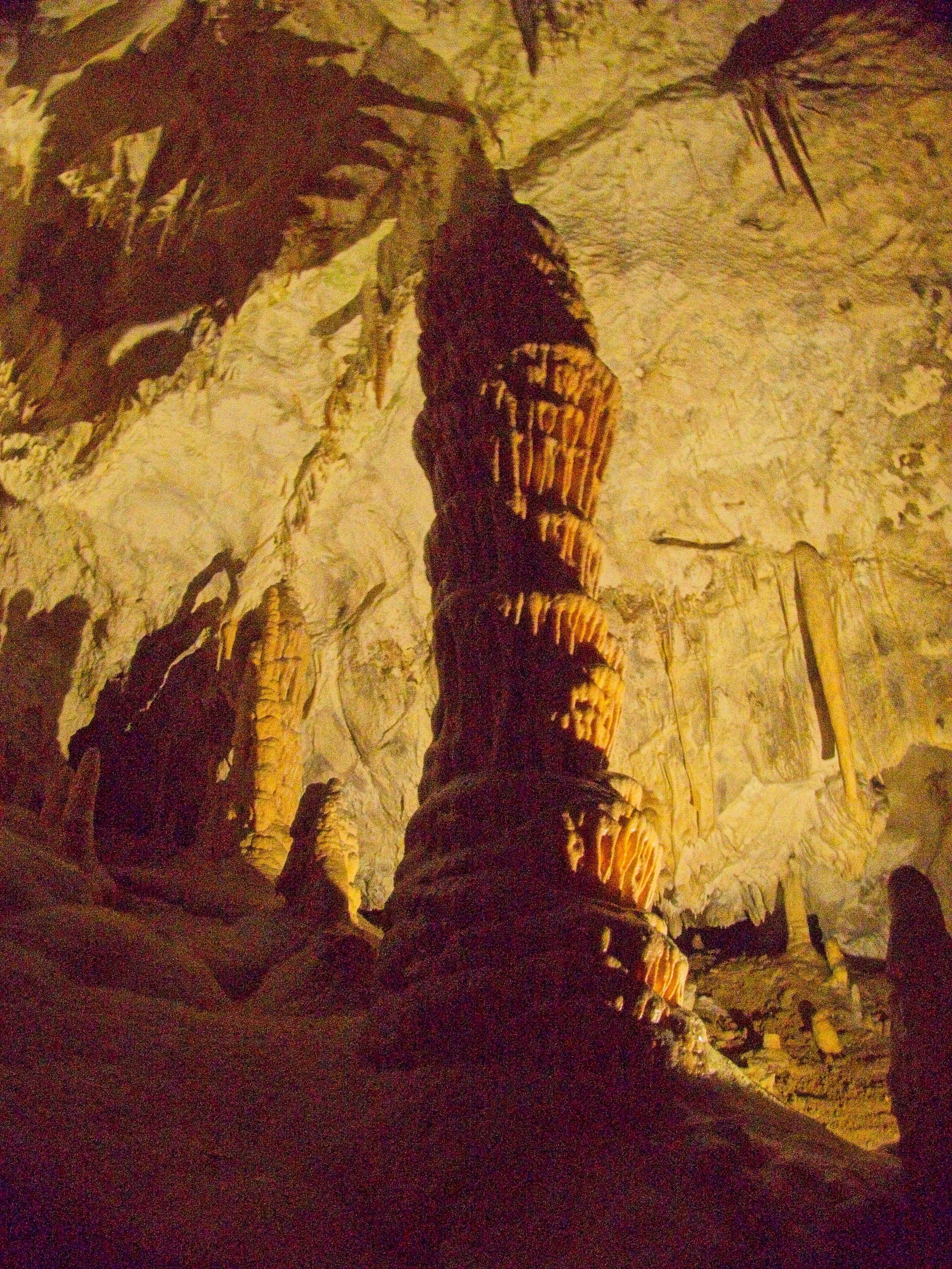 P1100013.jpg