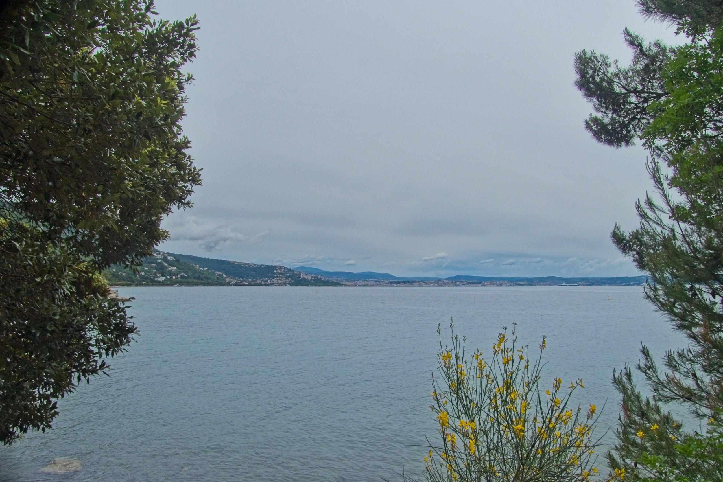 P1100202.jpg