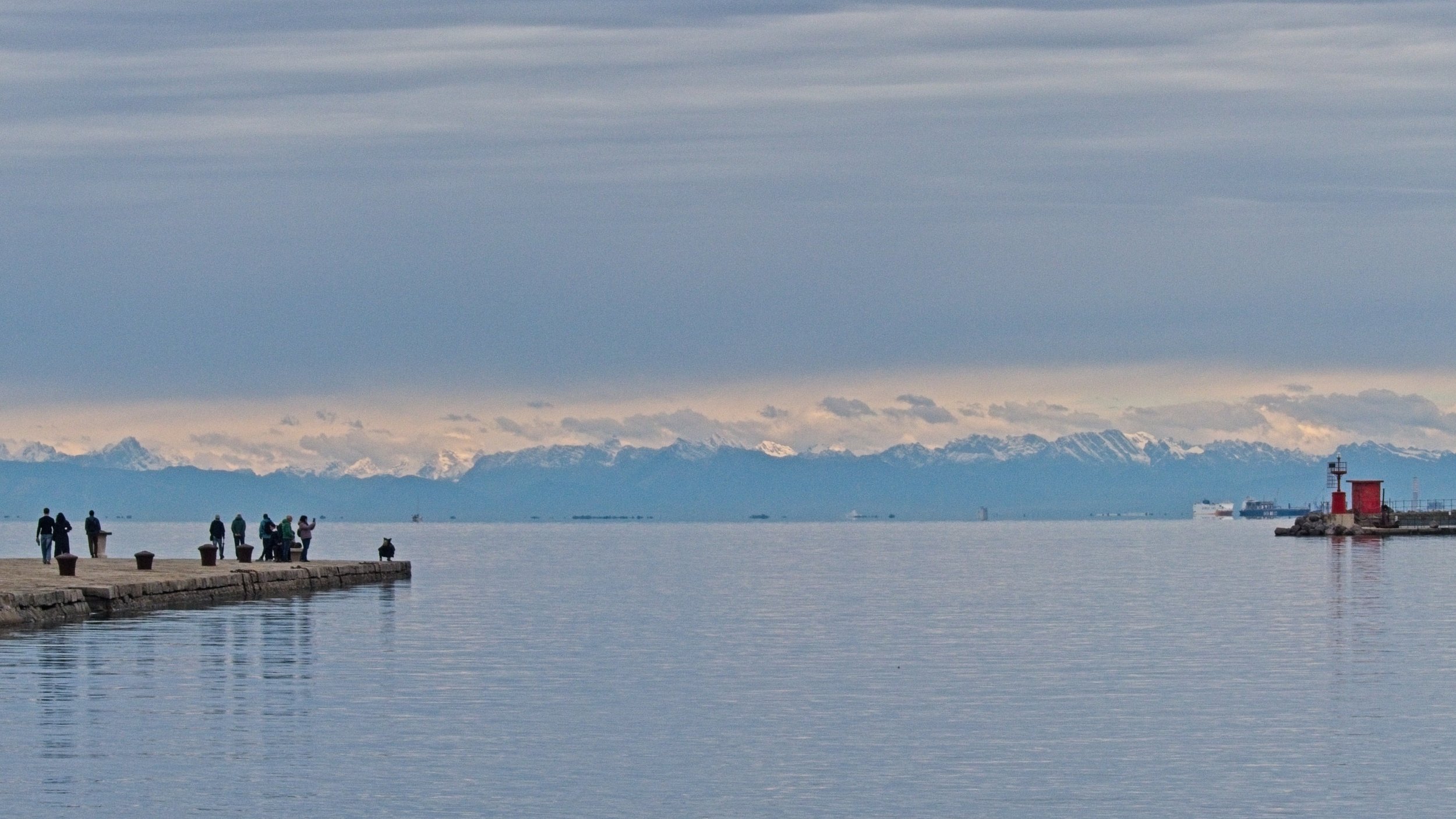 P1100155.jpg
